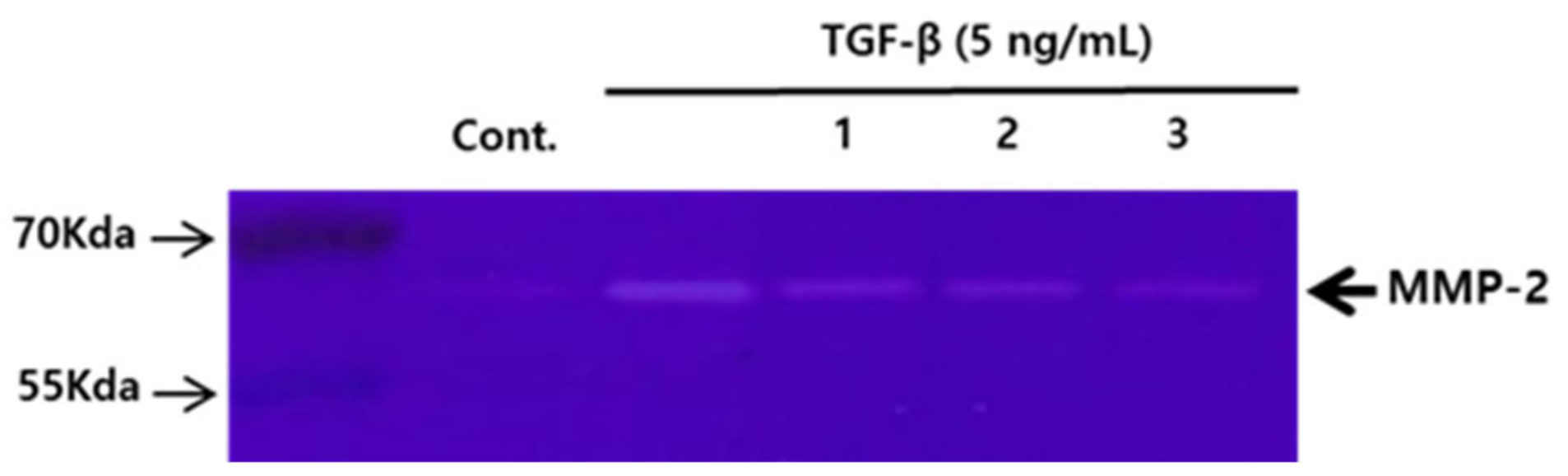 Applsci 11 08866 g004 550