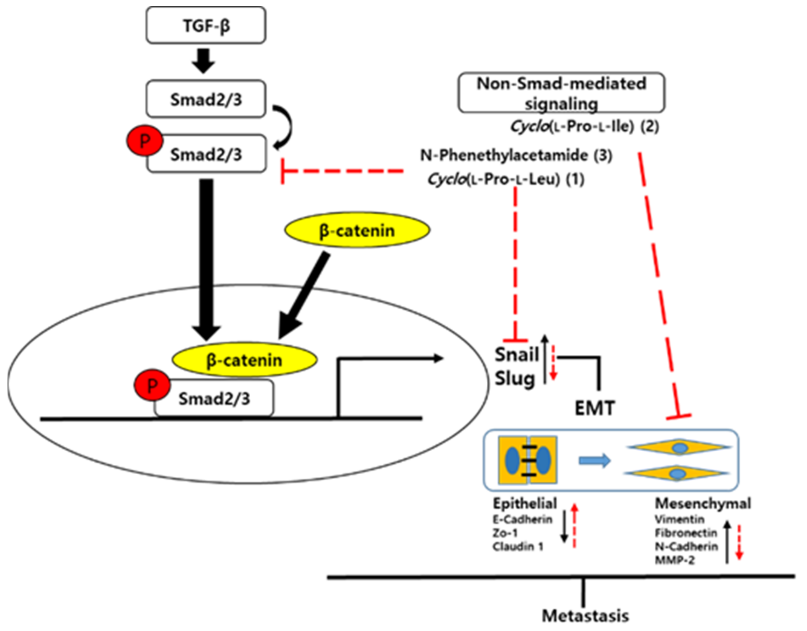 Applsci 11 08866 g005 550