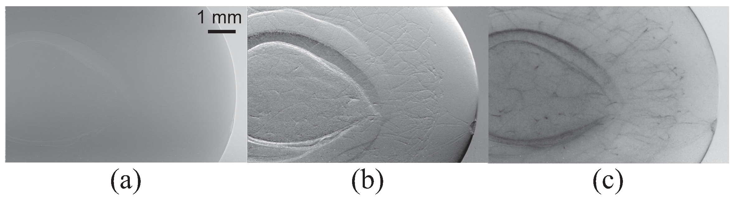 Applsci 11 08868 g003 550