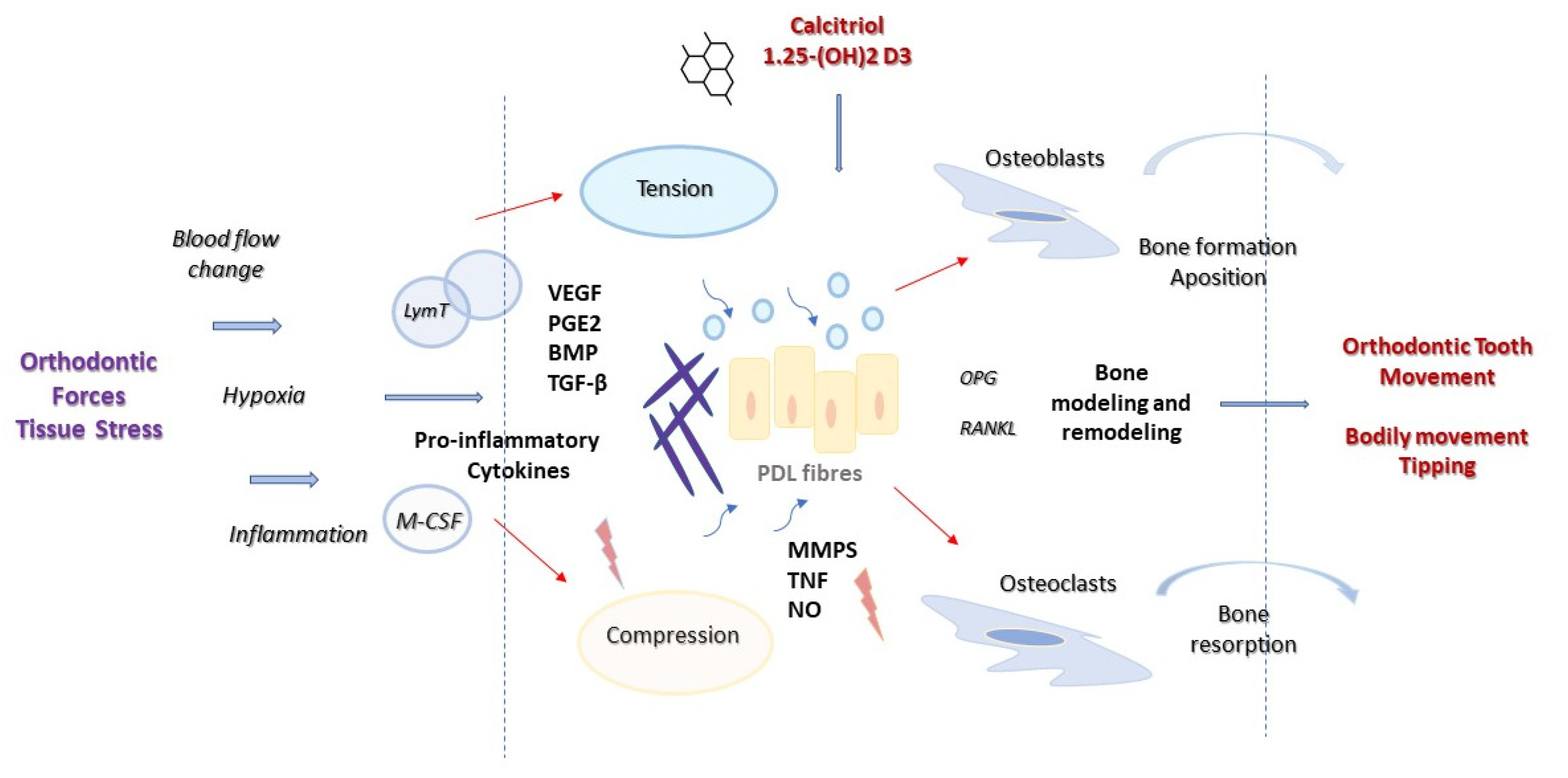 Applsci 11 08882 g001 550