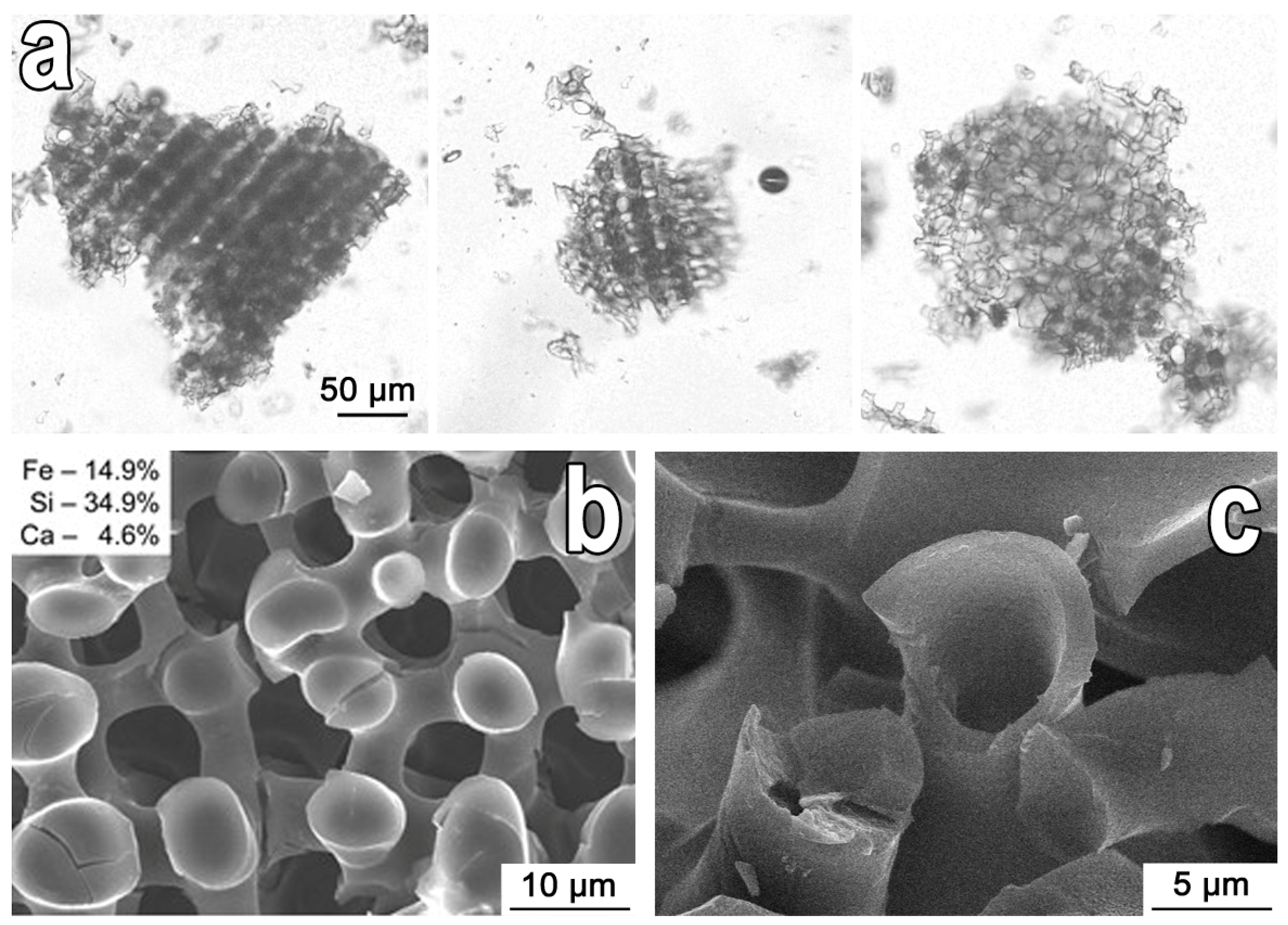 Applsci 11 08897 g004 550