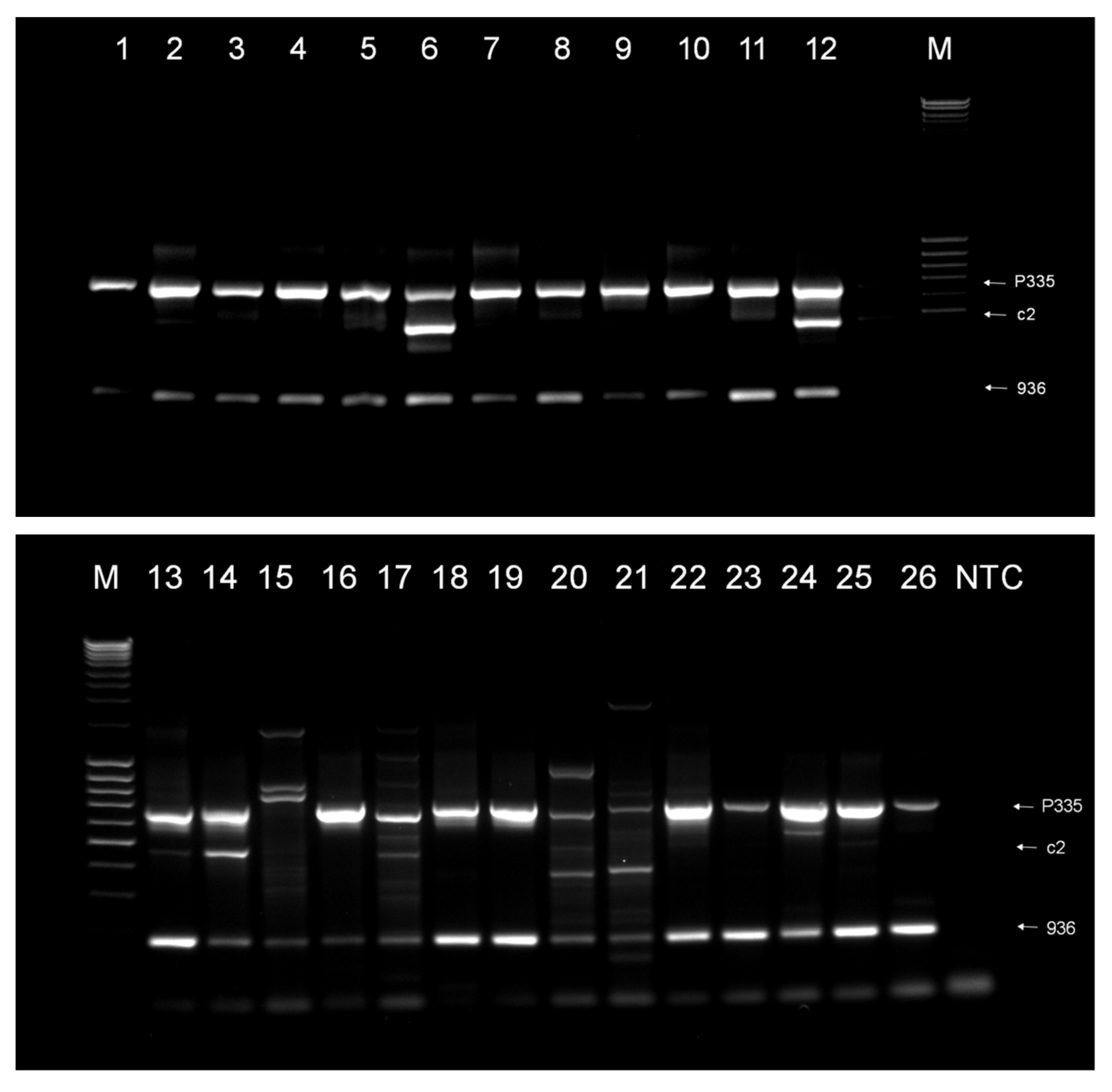 Applsci 11 08915 g001