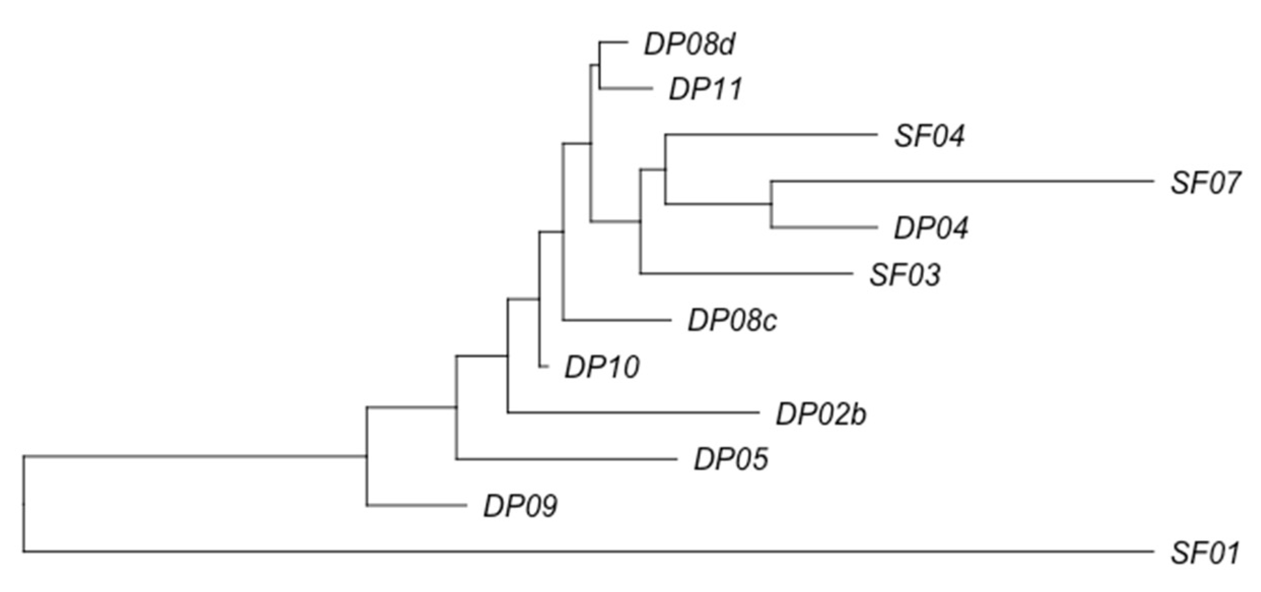 Applsci 11 08915 g002