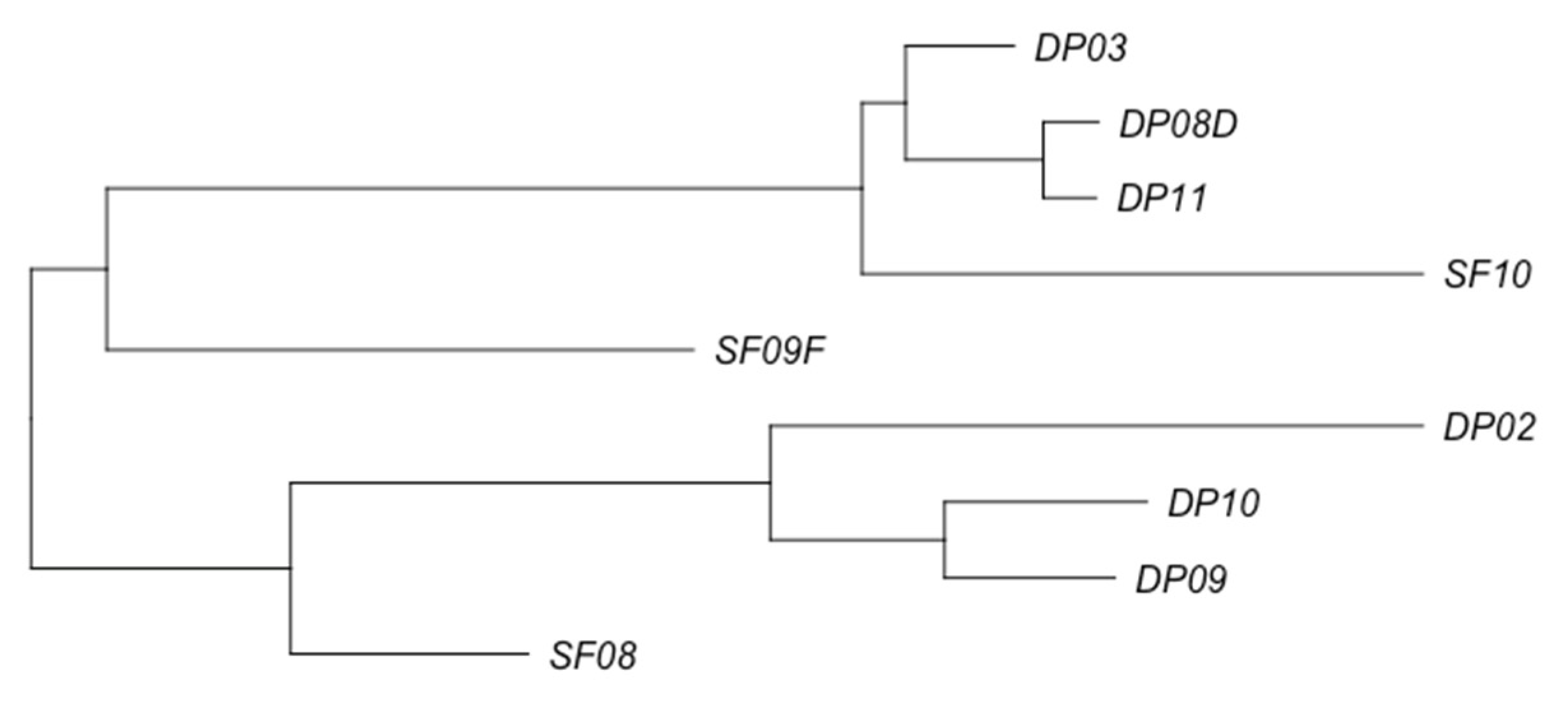 Applsci 11 08915 g003
