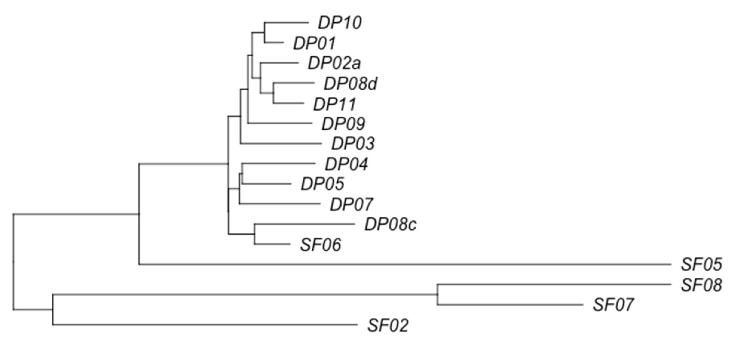 Applsci 11 08915 g004