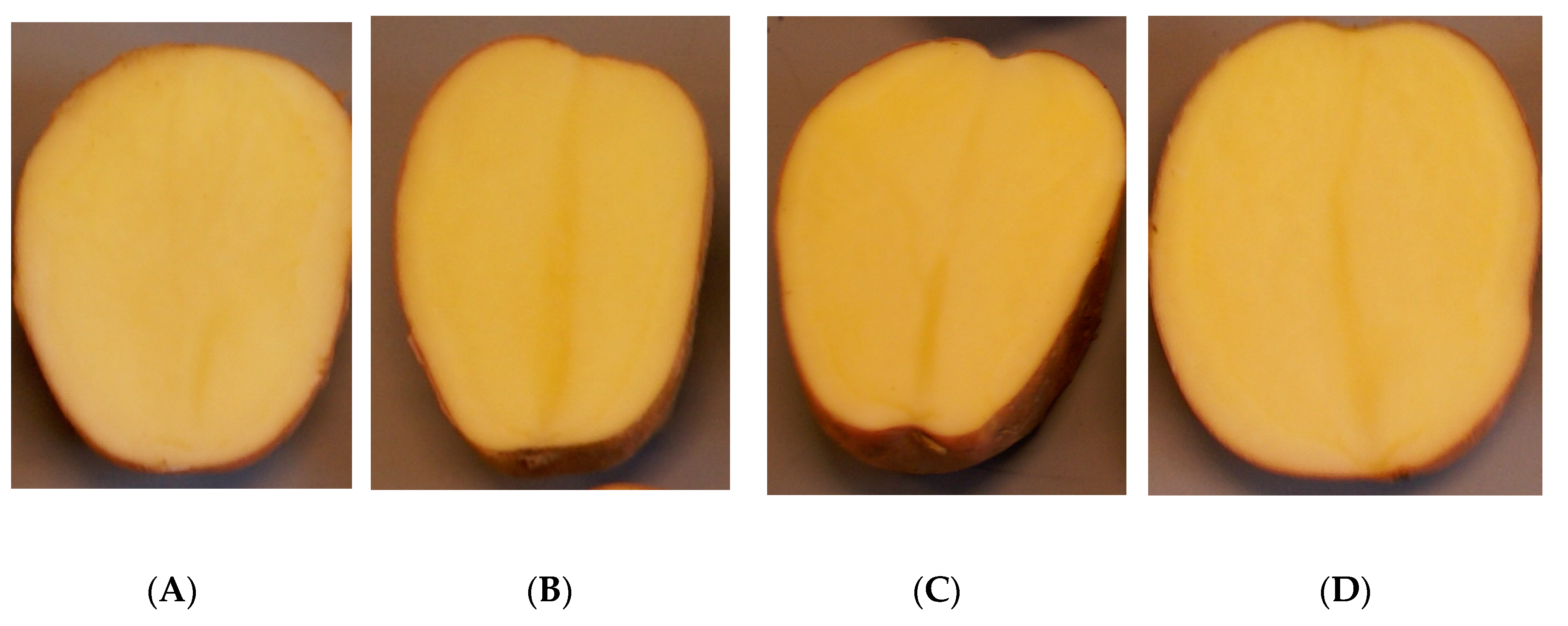 Applsci 11 08959 g004