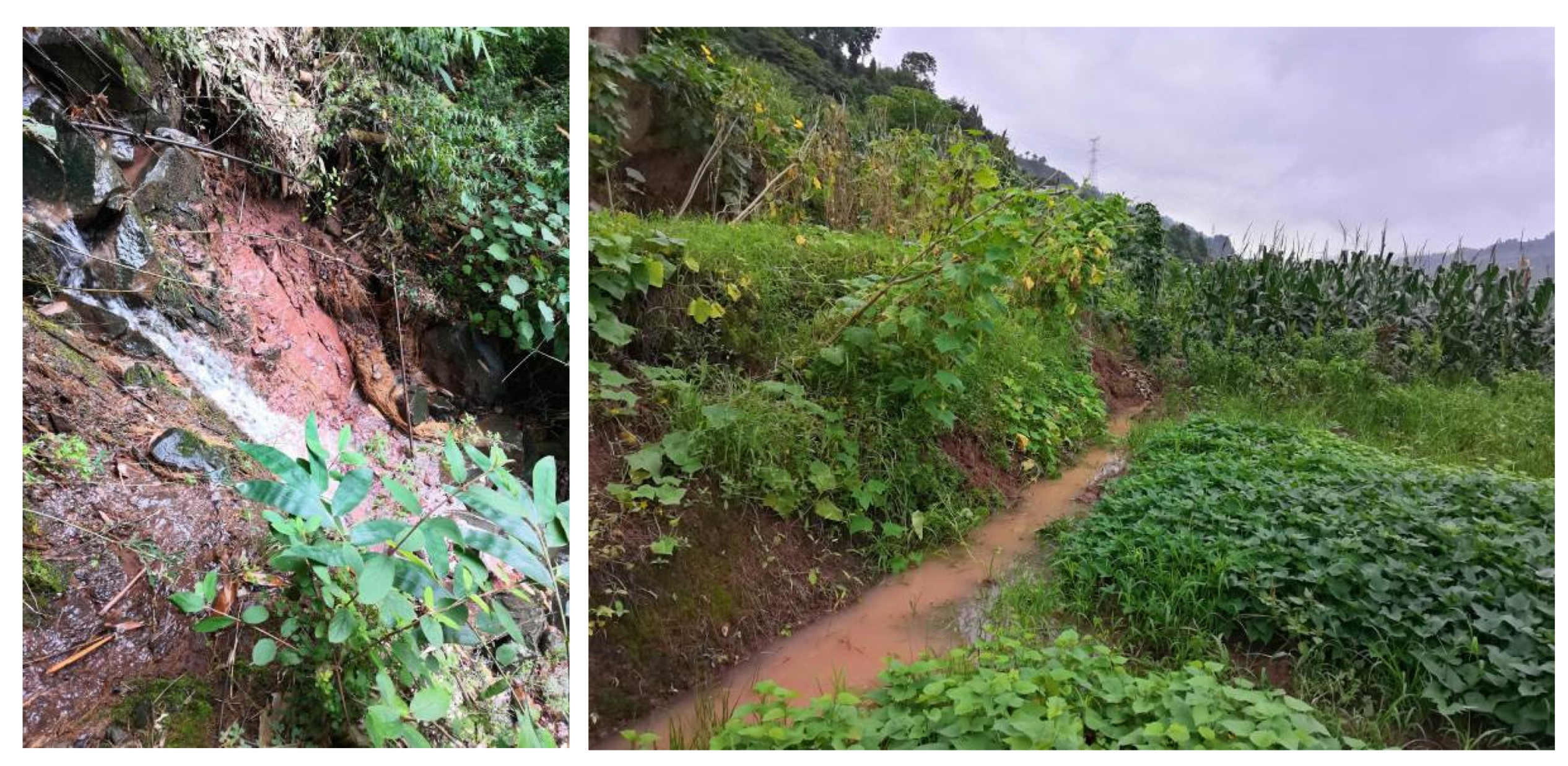 Applsci 11 08963 g006