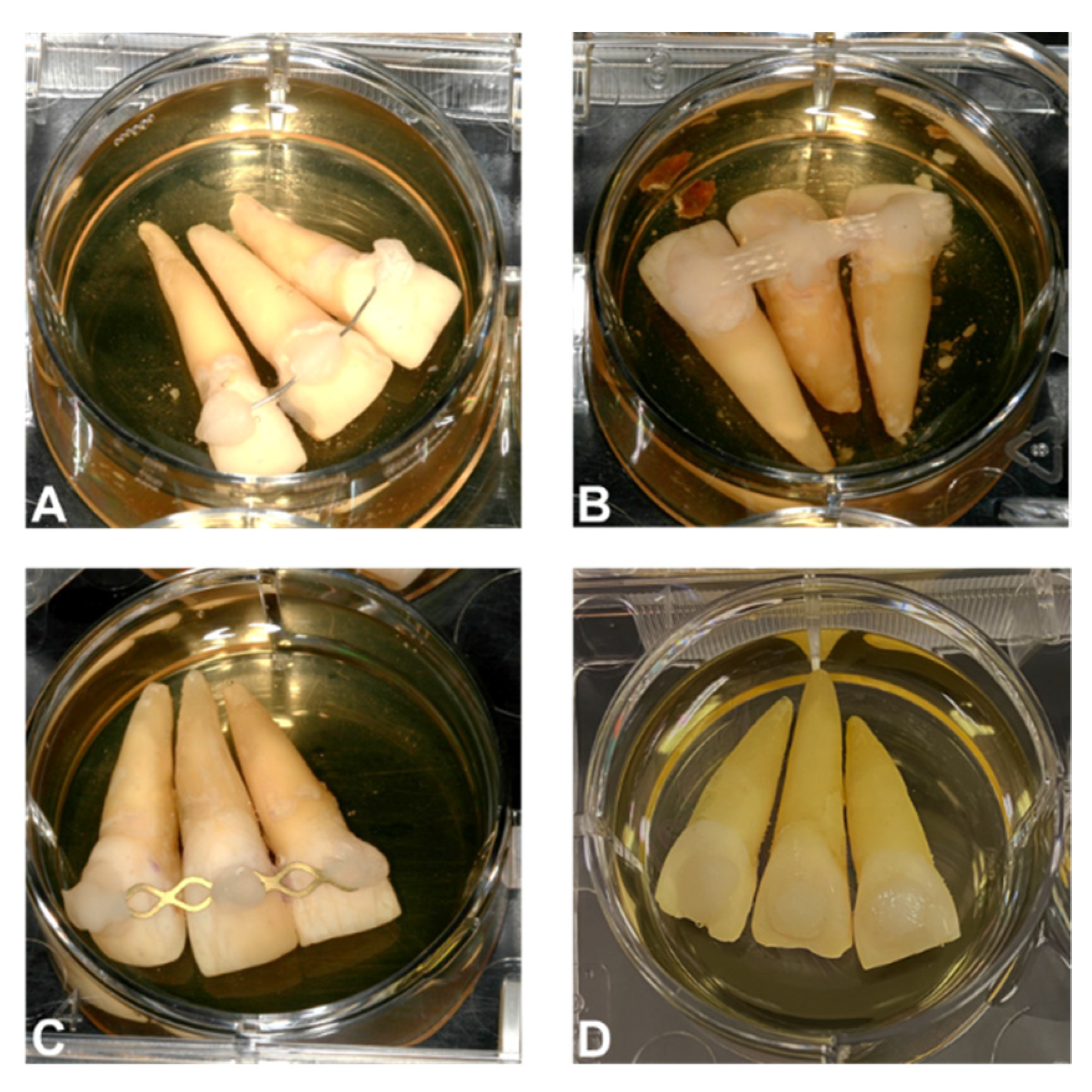 Applsci 11 08982 g001 Applsci 11 08982 g001