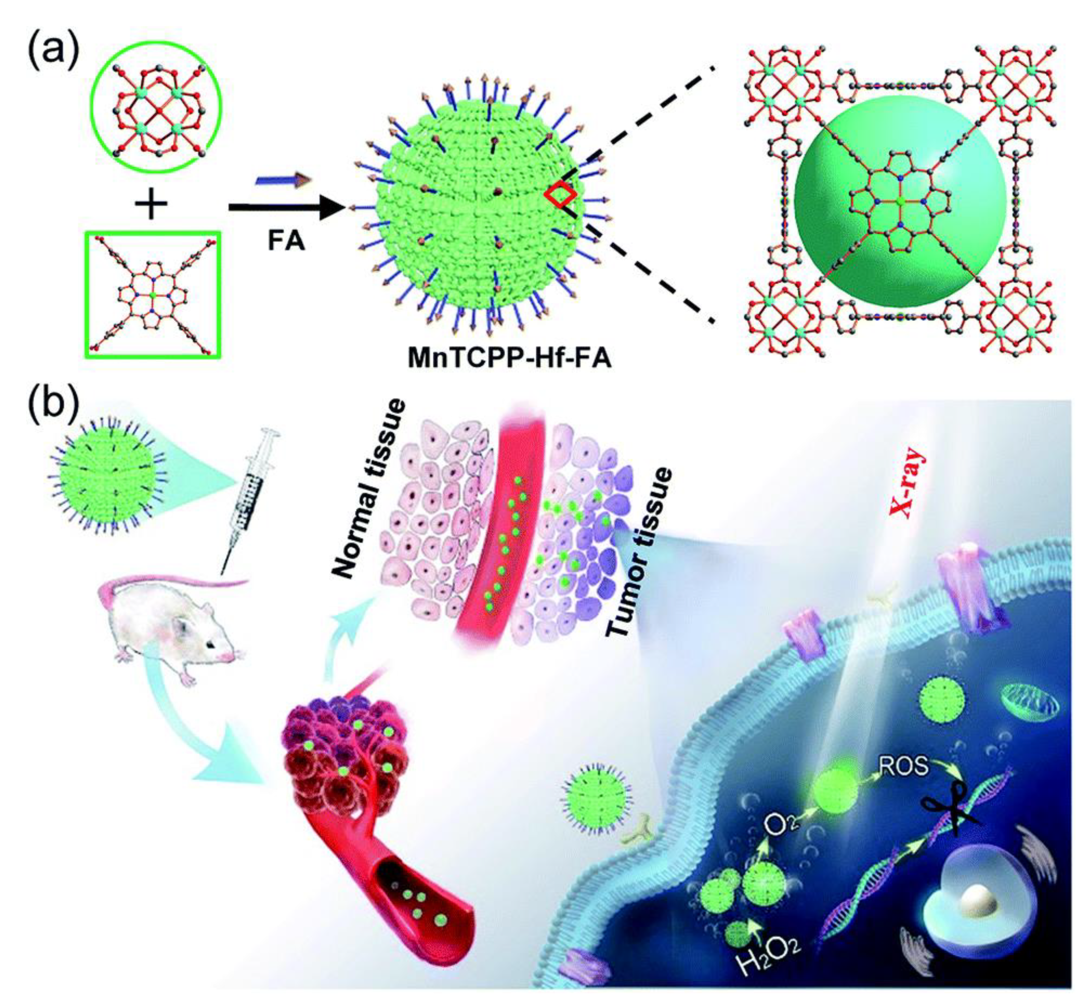 Applsci 11 09019 g007