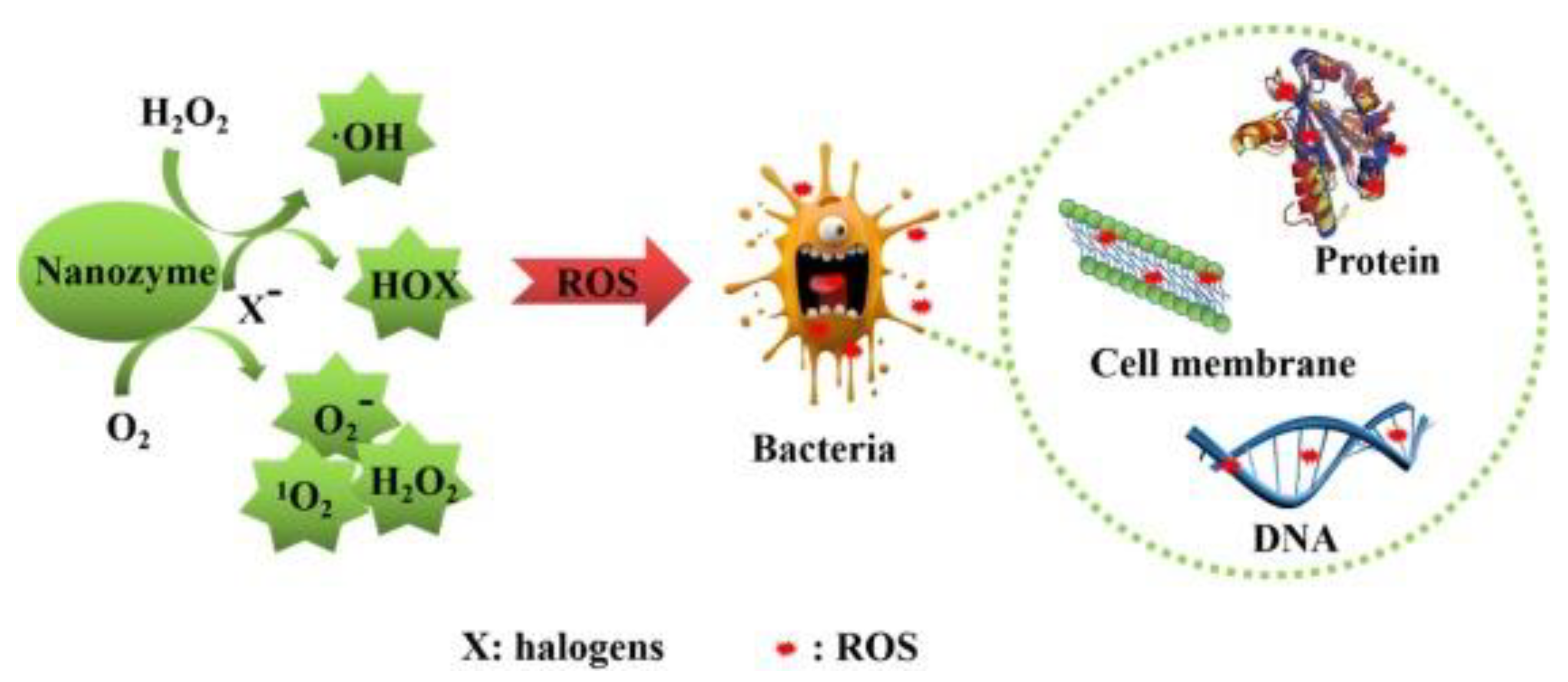 Applsci 11 09019 g010
