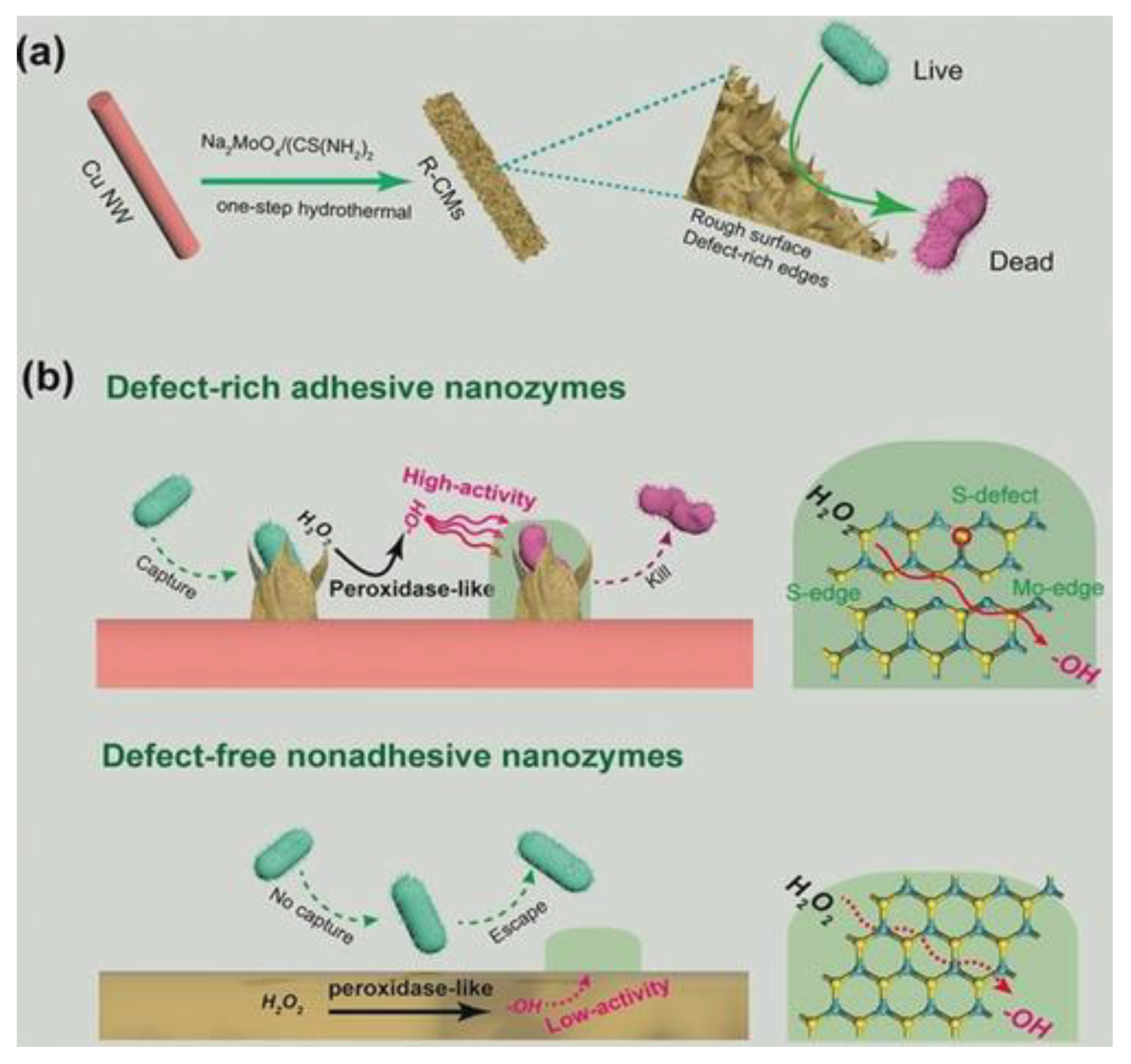 Applsci 11 09019 g011