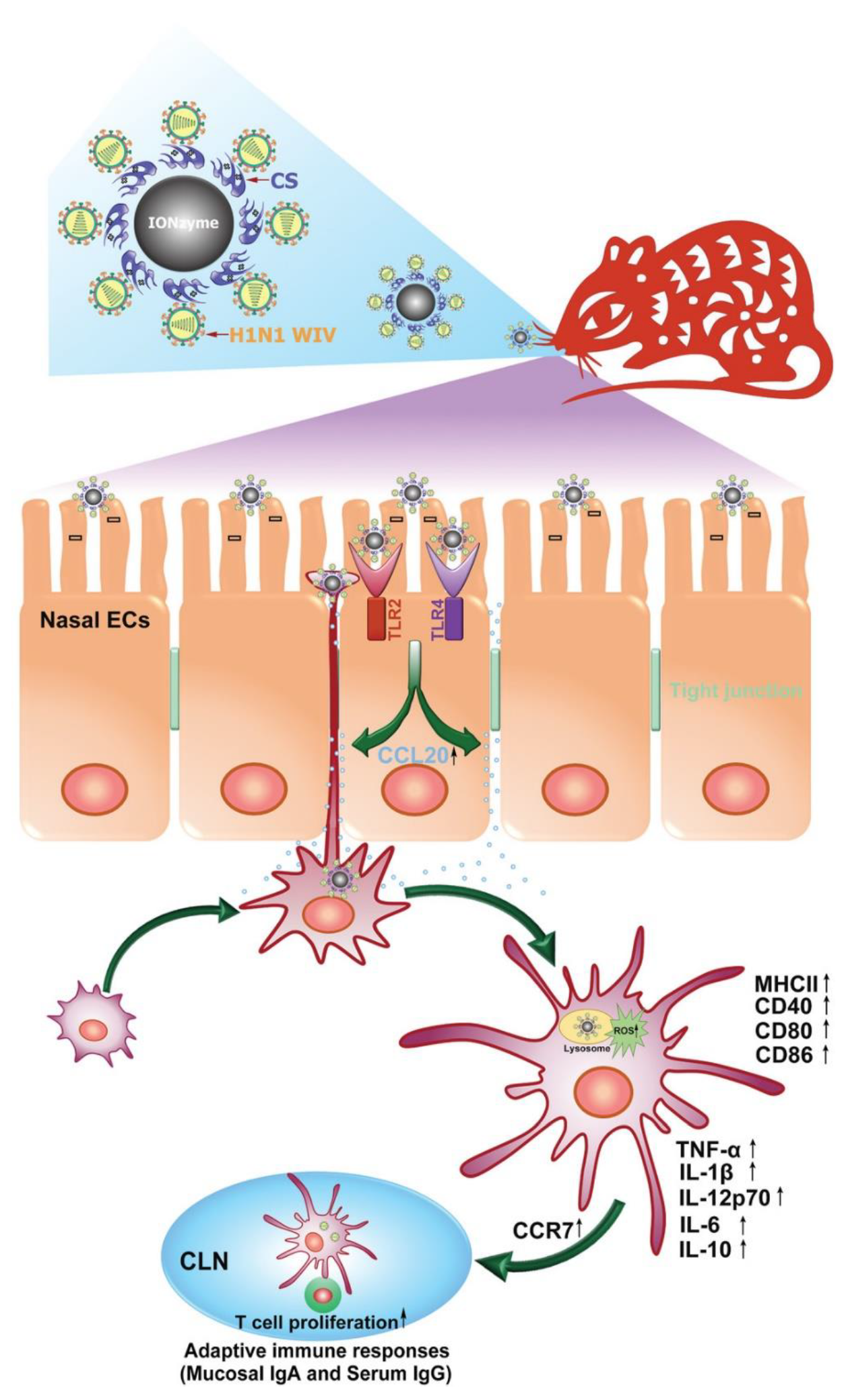 Applsci 11 09019 g013
