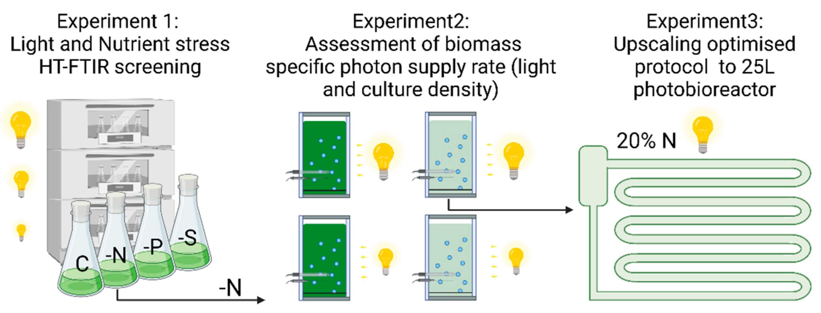 Applsci 11 09025 g001