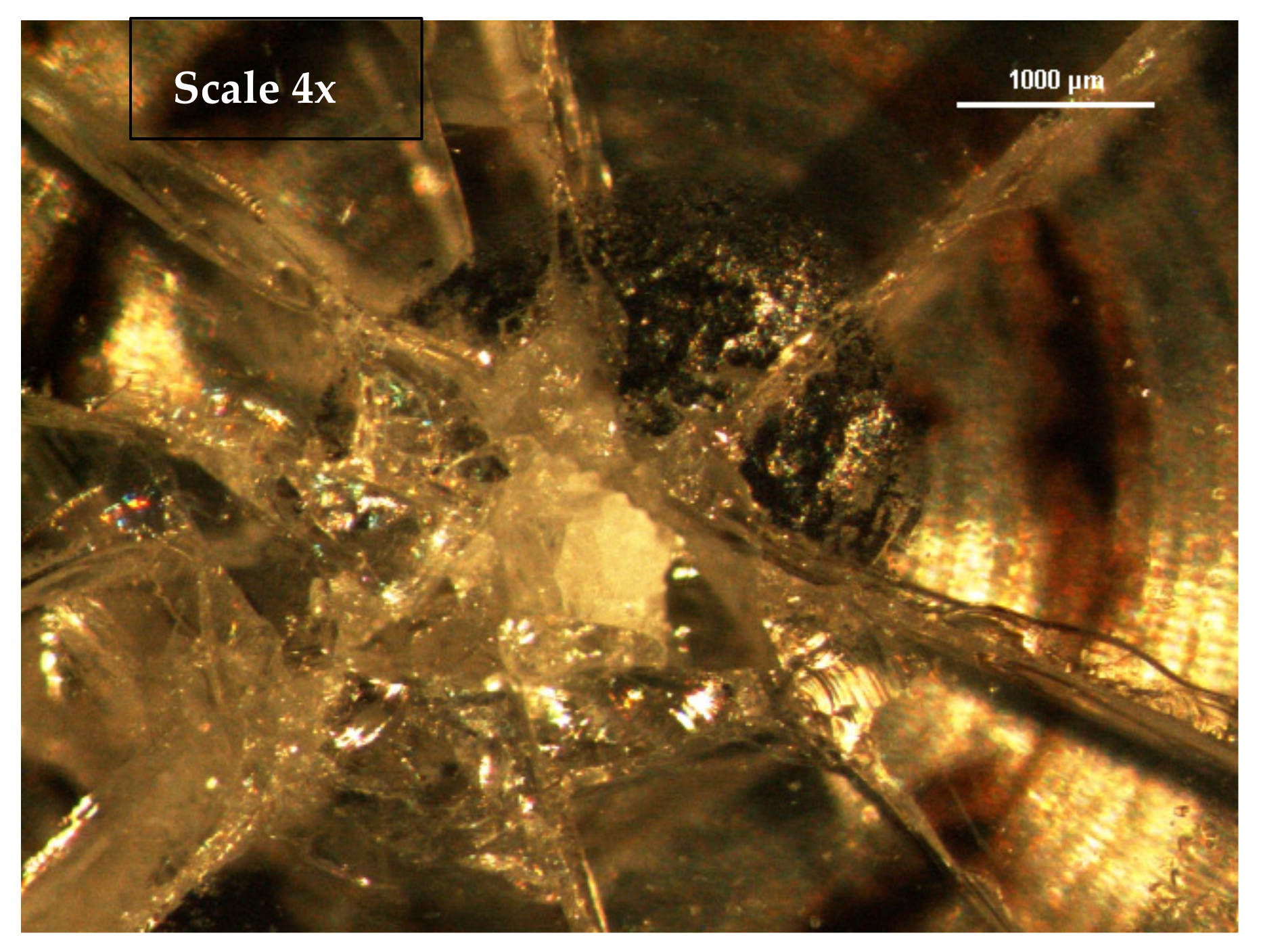 Applsci 11 09027 g010 550