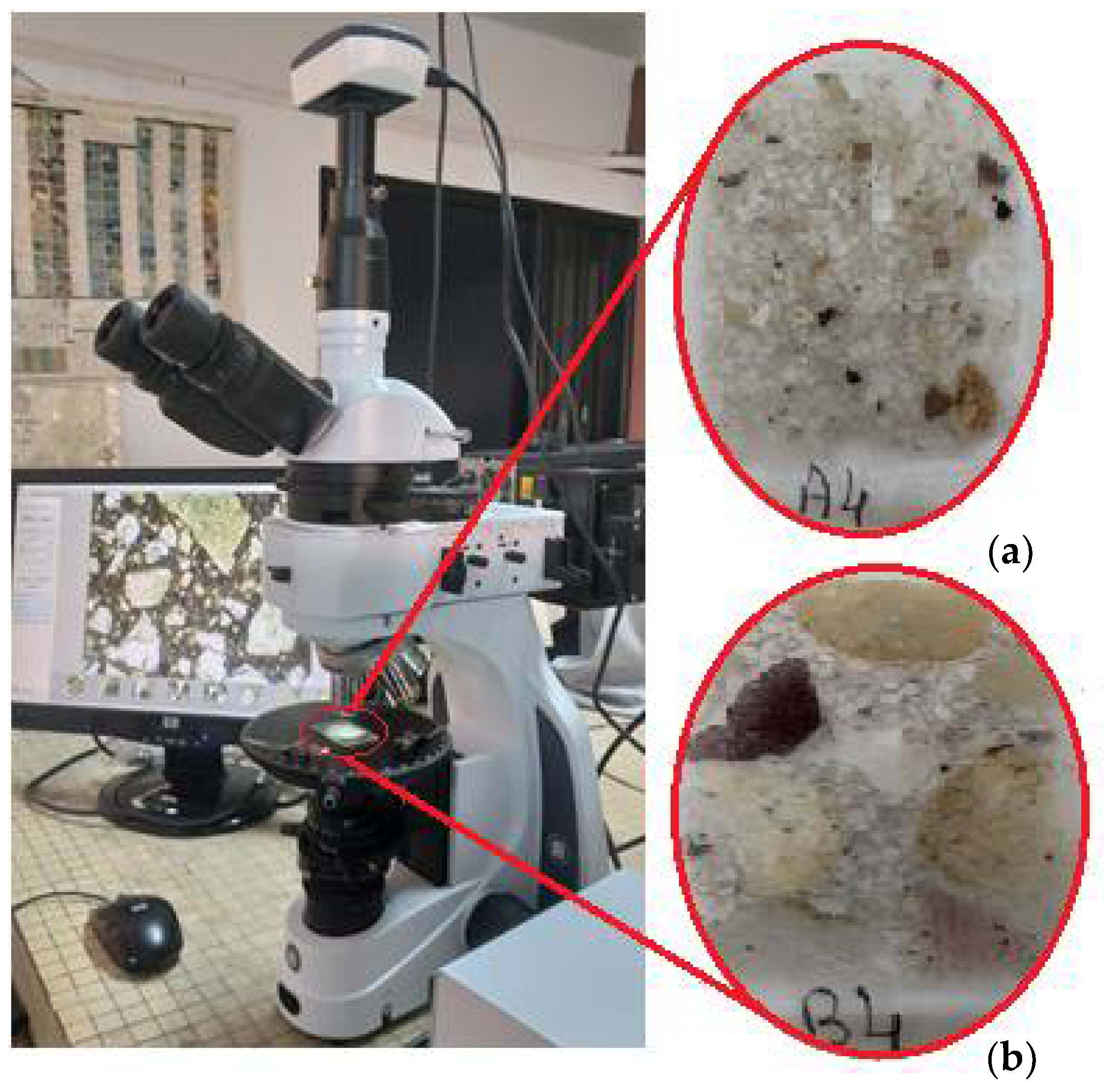 Applsci 11 09045 g004