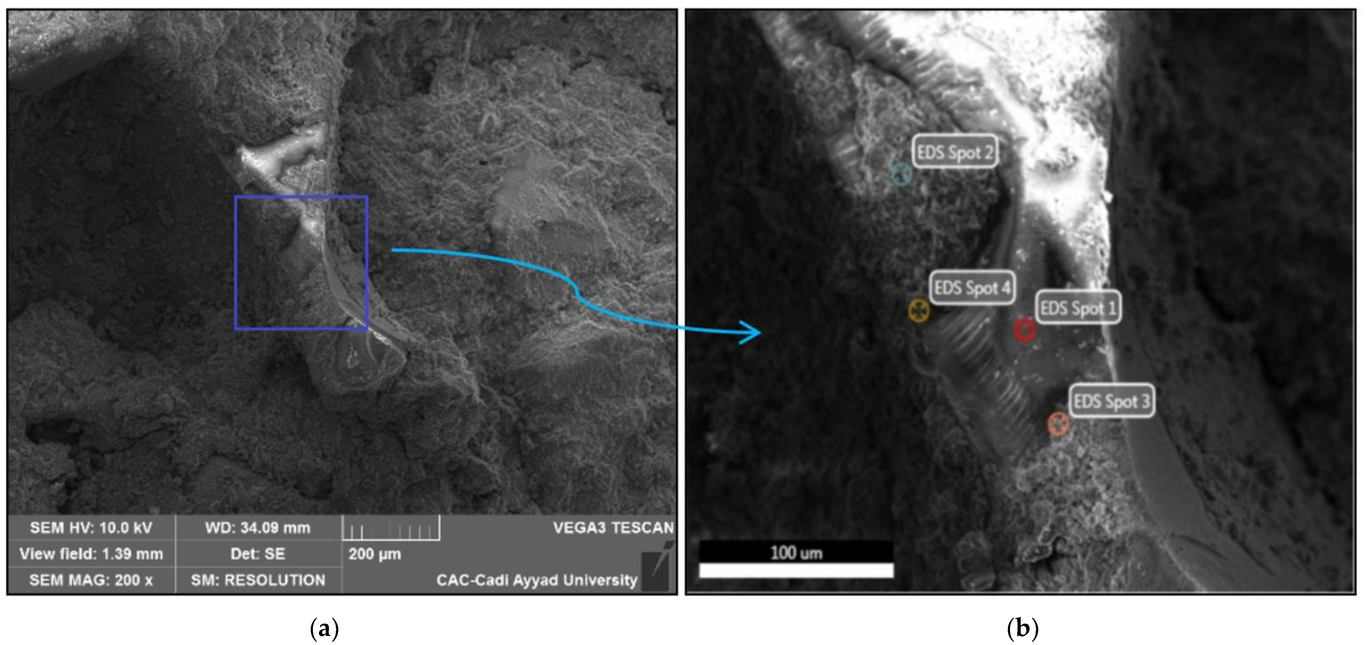 Applsci 11 09045 g008