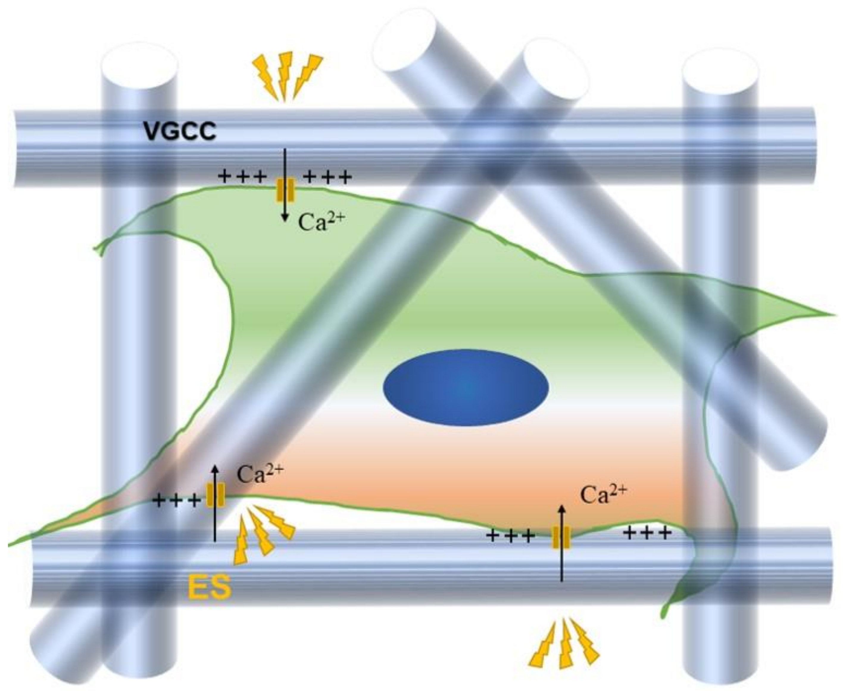 Applsci 11 09082 g001 Applsci 11 09082 g001