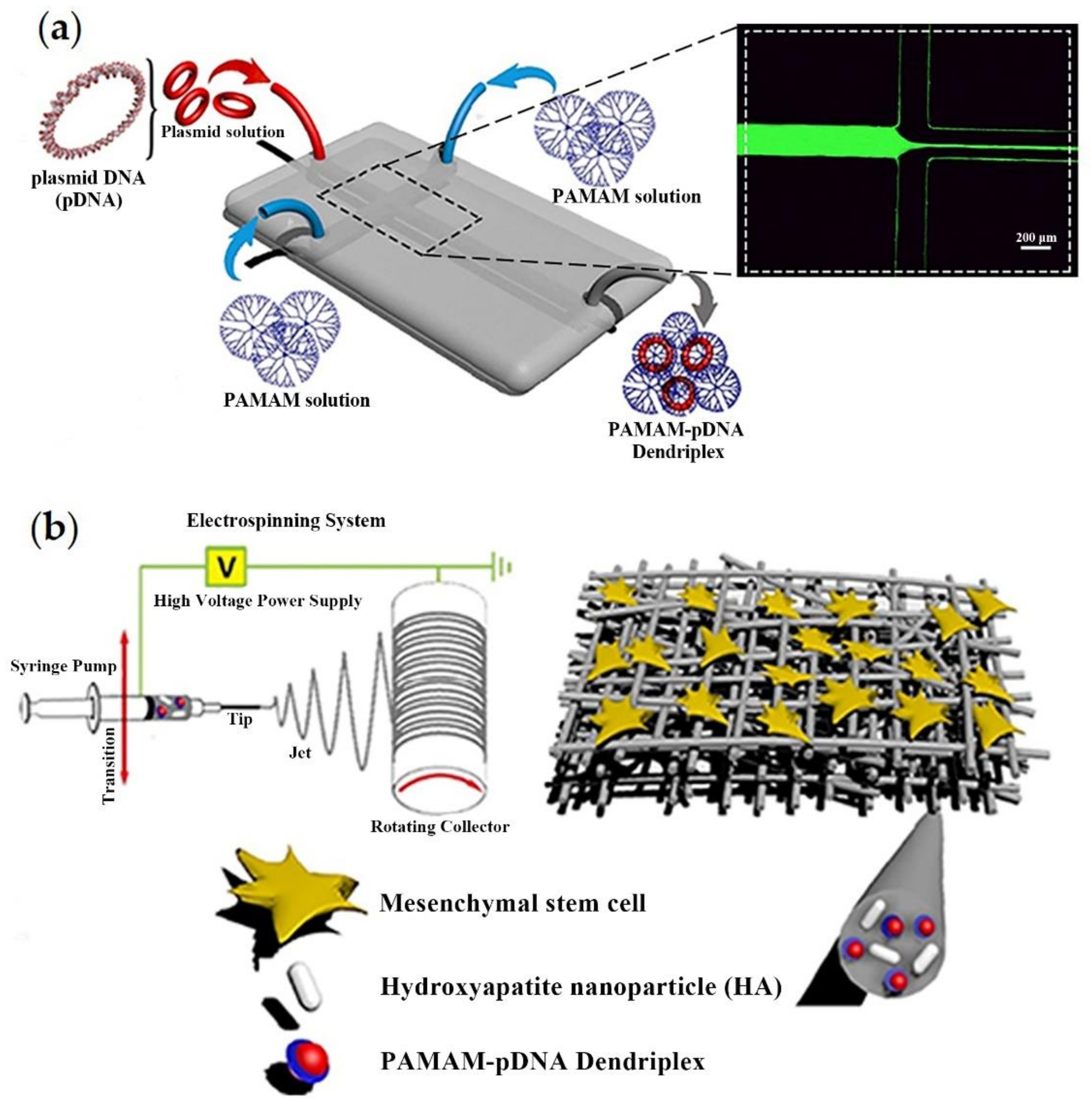 Applsci 11 09082 g011 Applsci 11 09082 g011