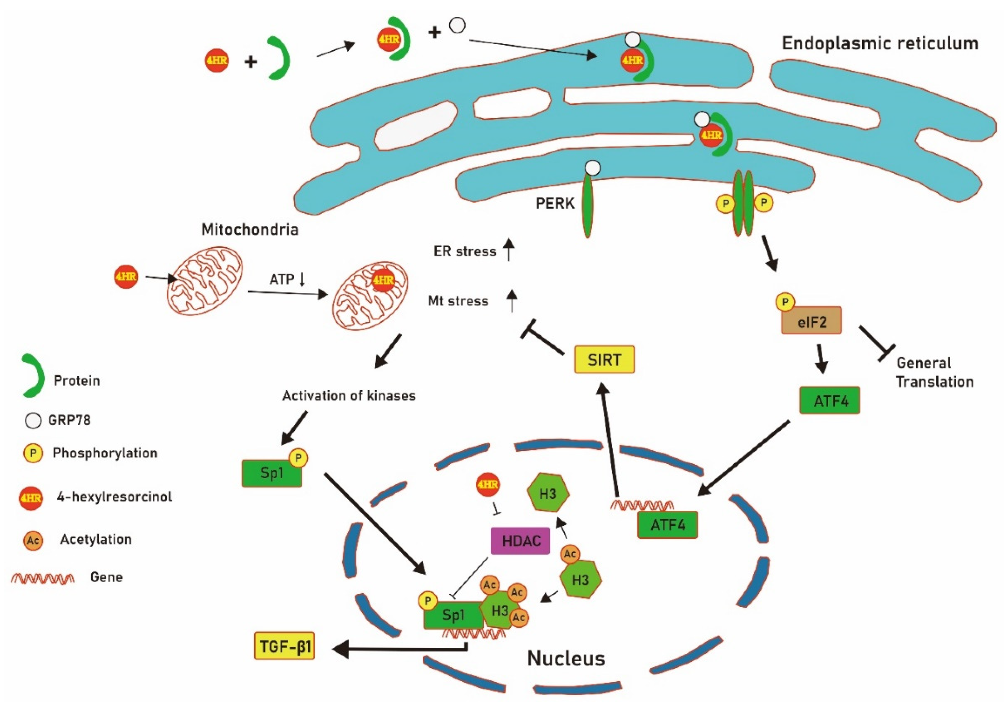 Applsci 11 09128 g006
