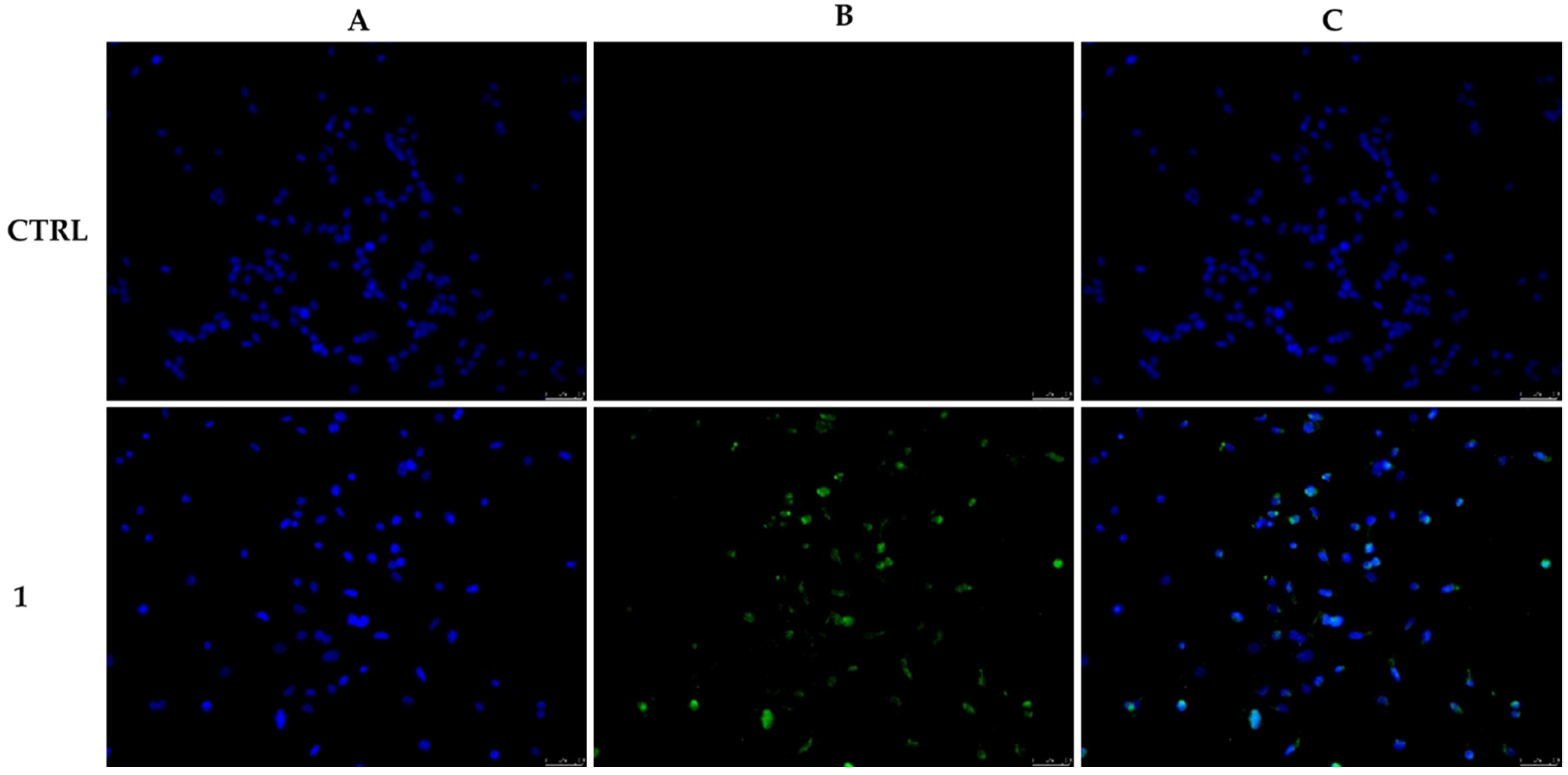 Applsci 11 09139 g004
