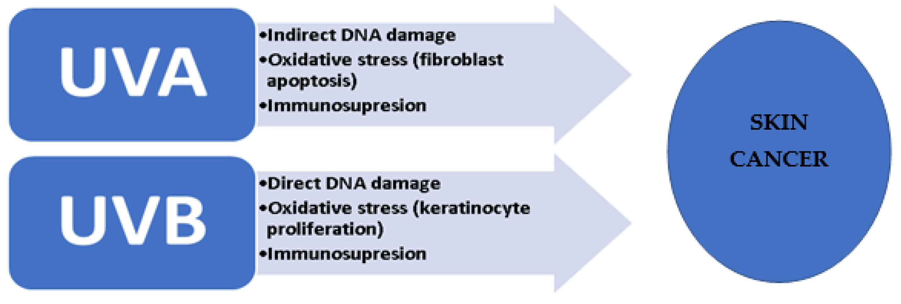 Applsci 11 09142 g001