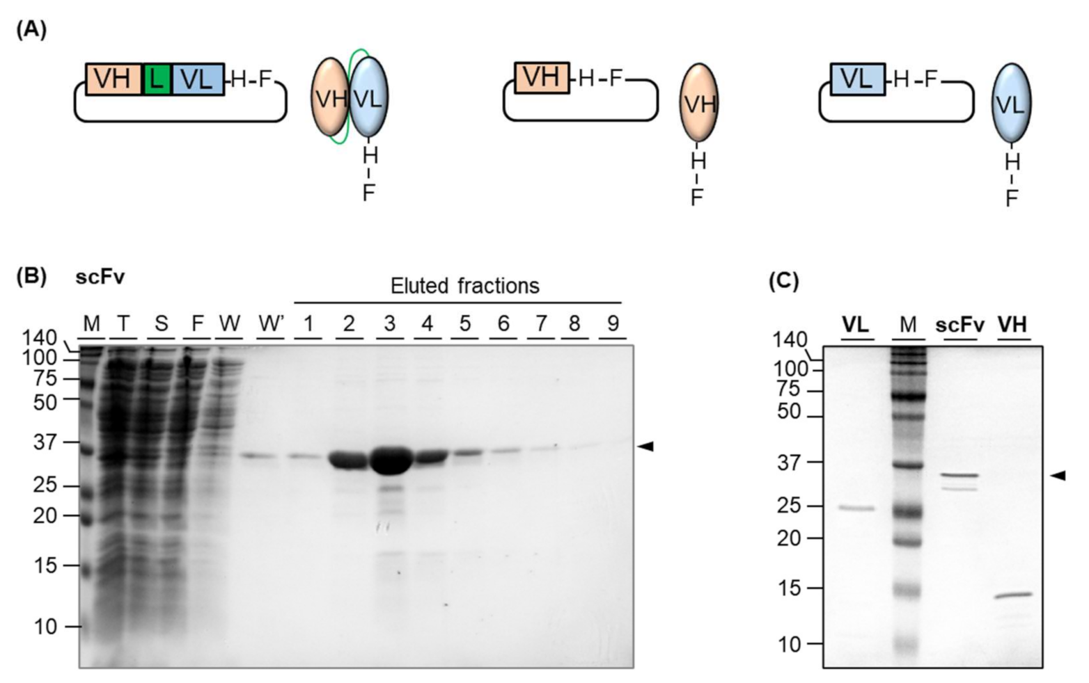 Applsci 11 09149 g002