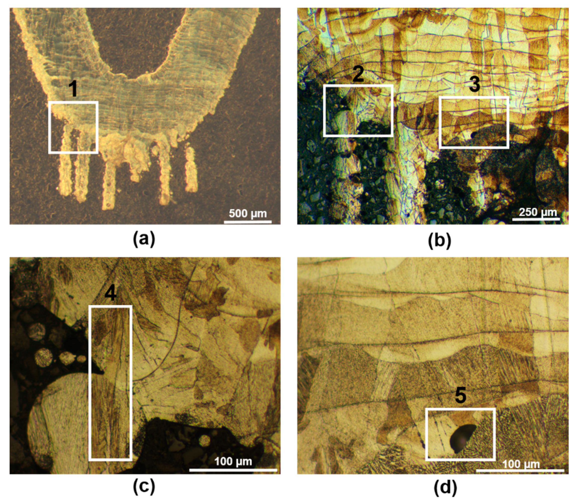 Applsci 11 09176 g010