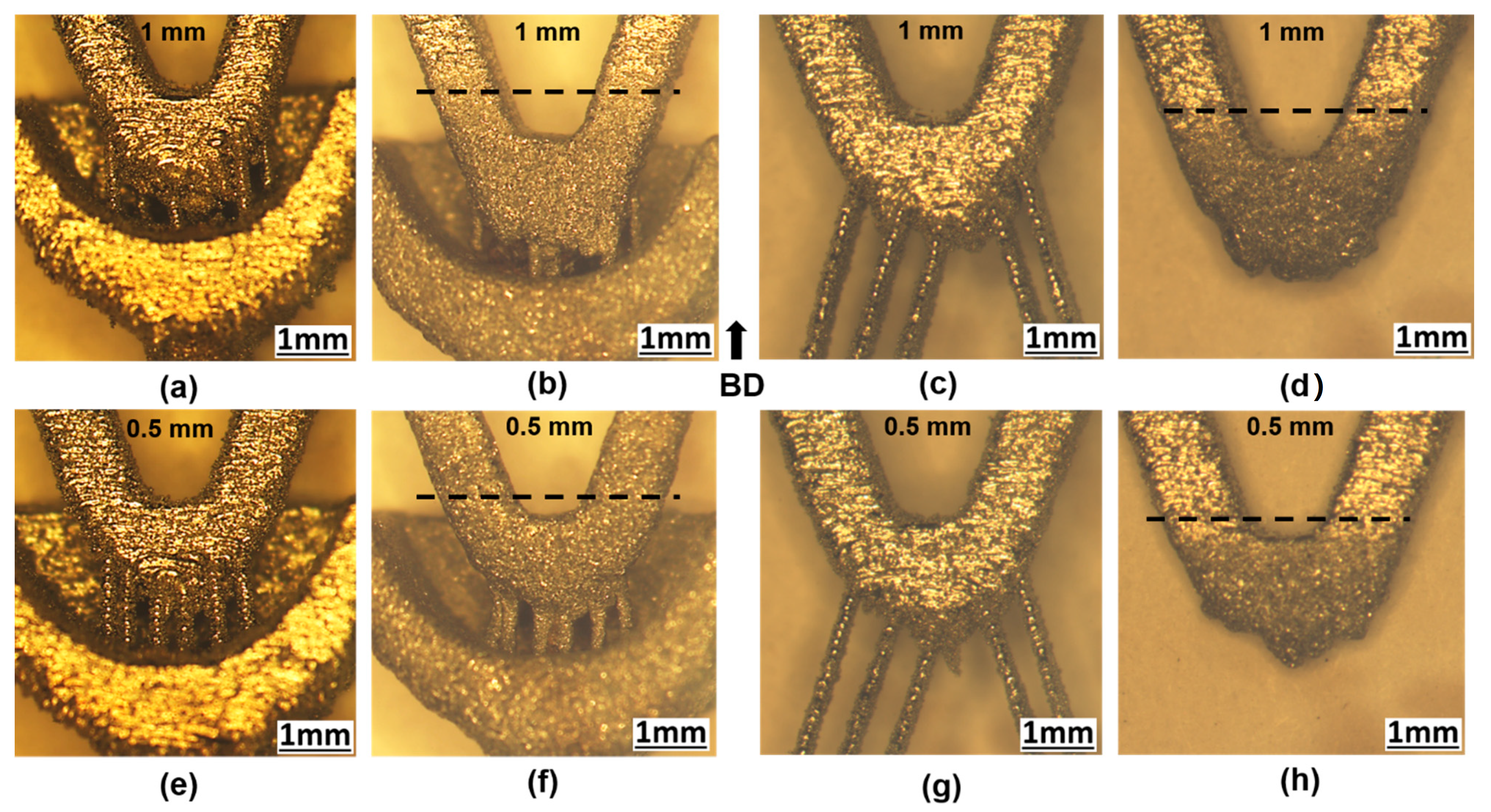 Applsci 11 09176 g012