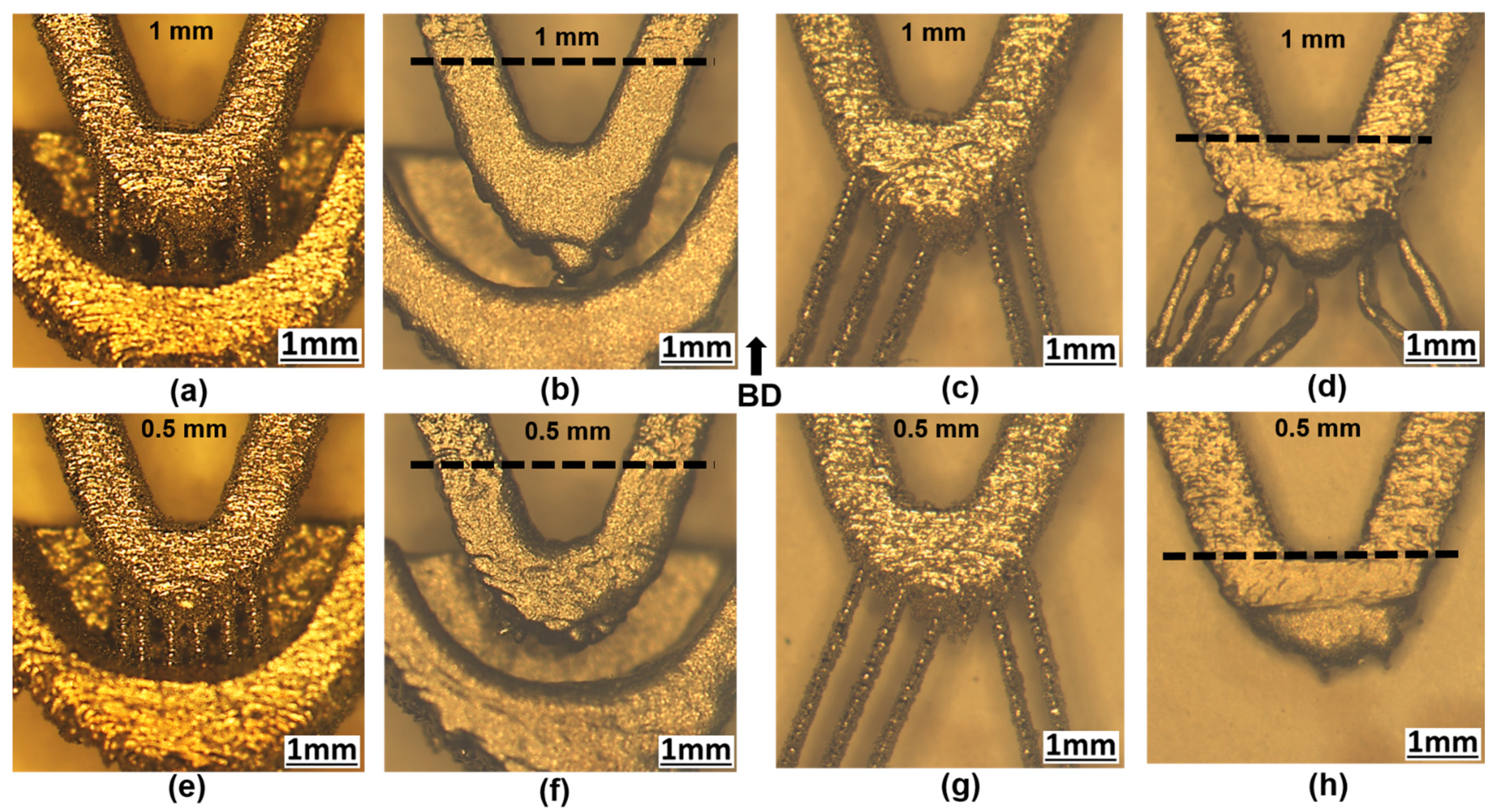 Applsci 11 09176 g013