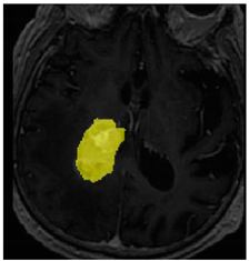 Applsci 11 09180 i013