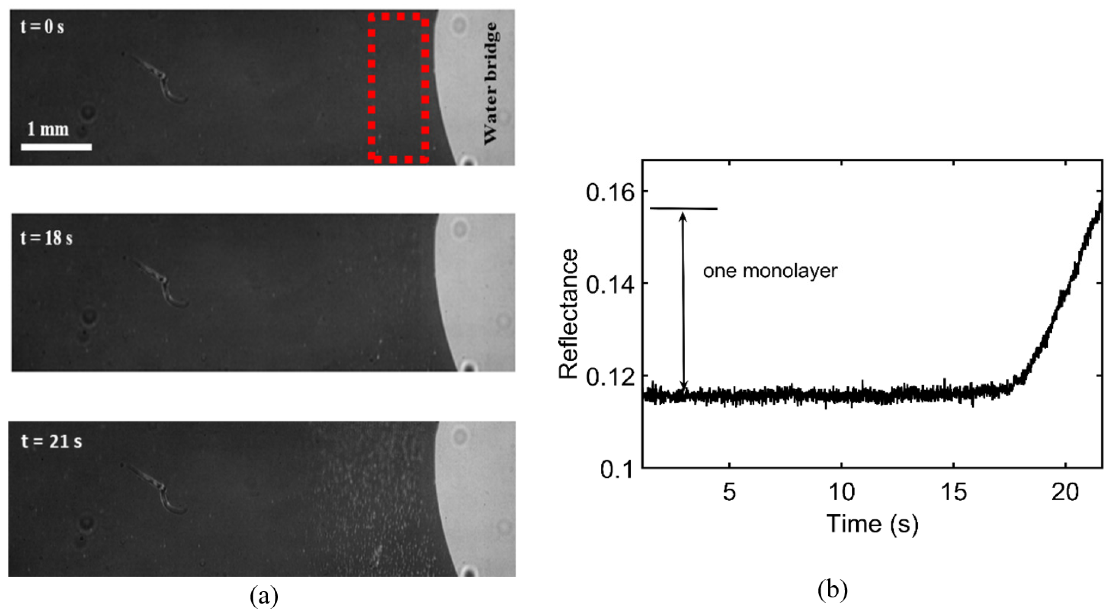 Applsci 11 09184 g003