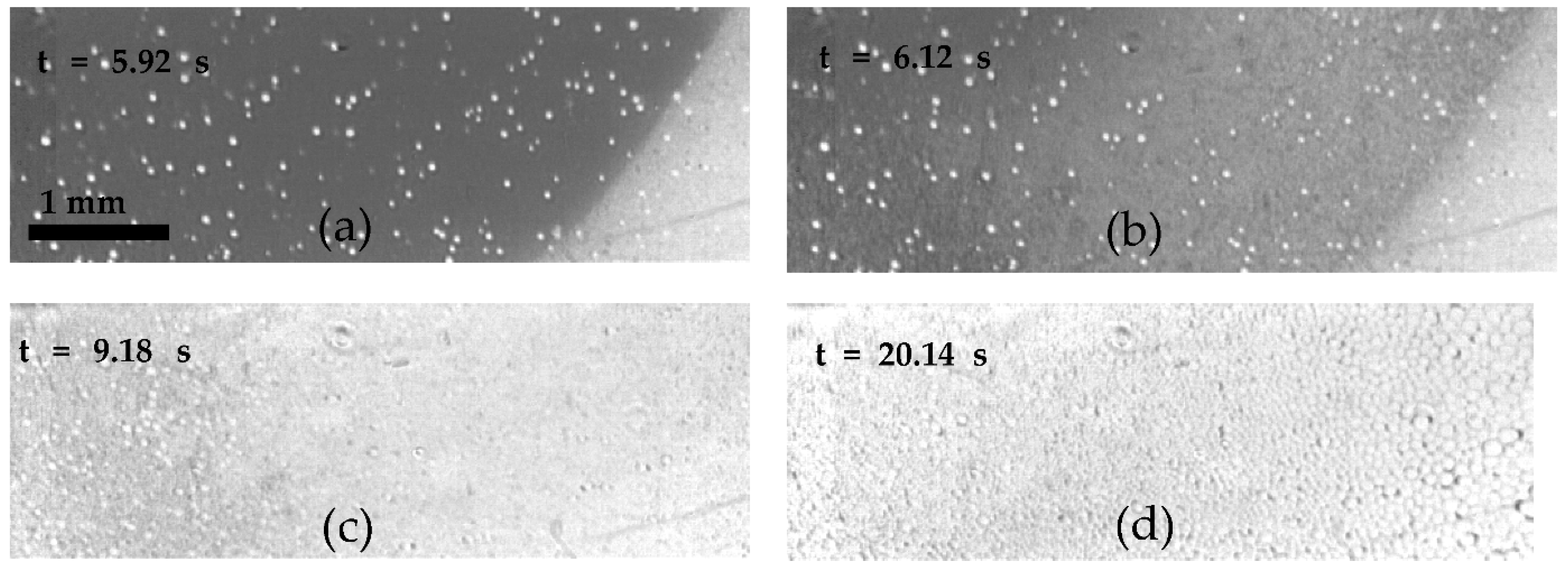 Applsci 11 09184 g005