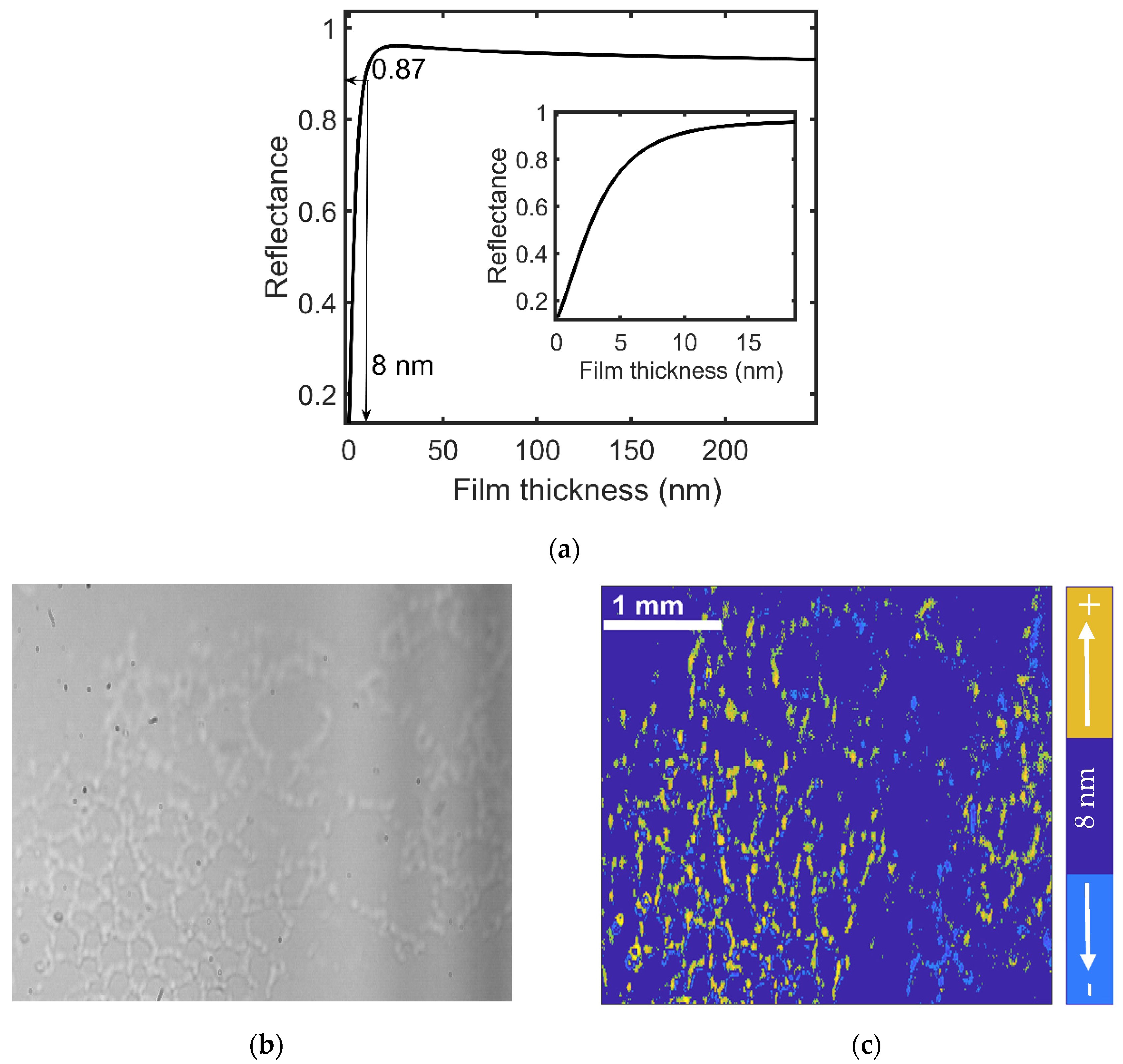 Applsci 11 09184 g007