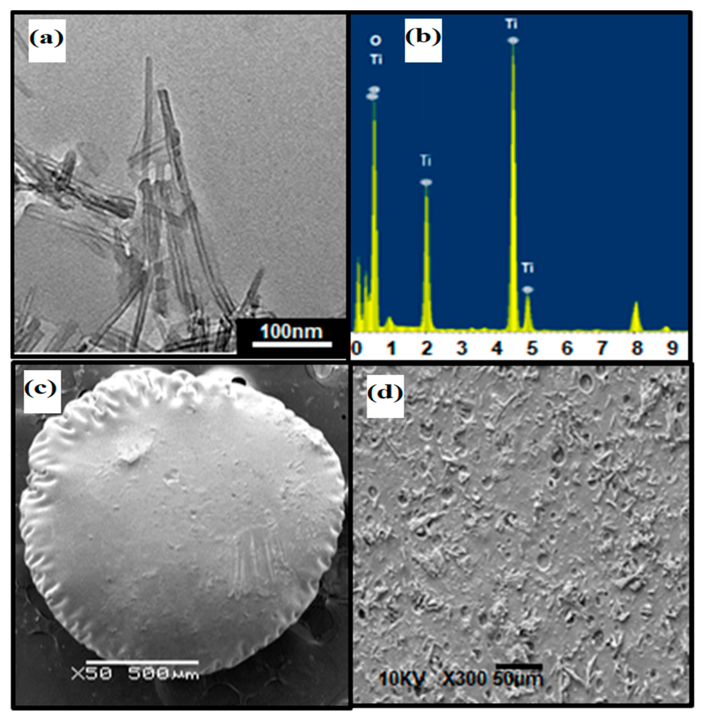 Applsci 11 09186 g002 550