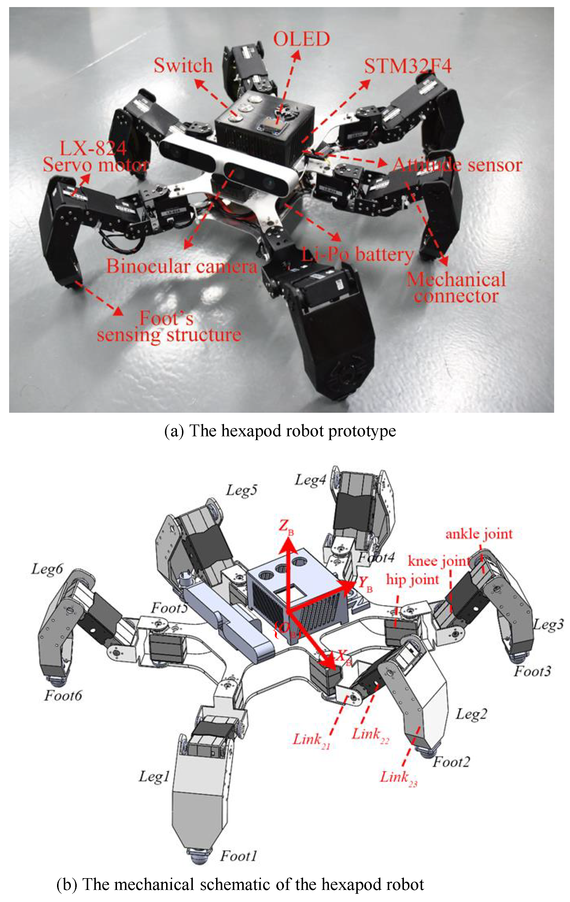 Hexapod robot leg store design