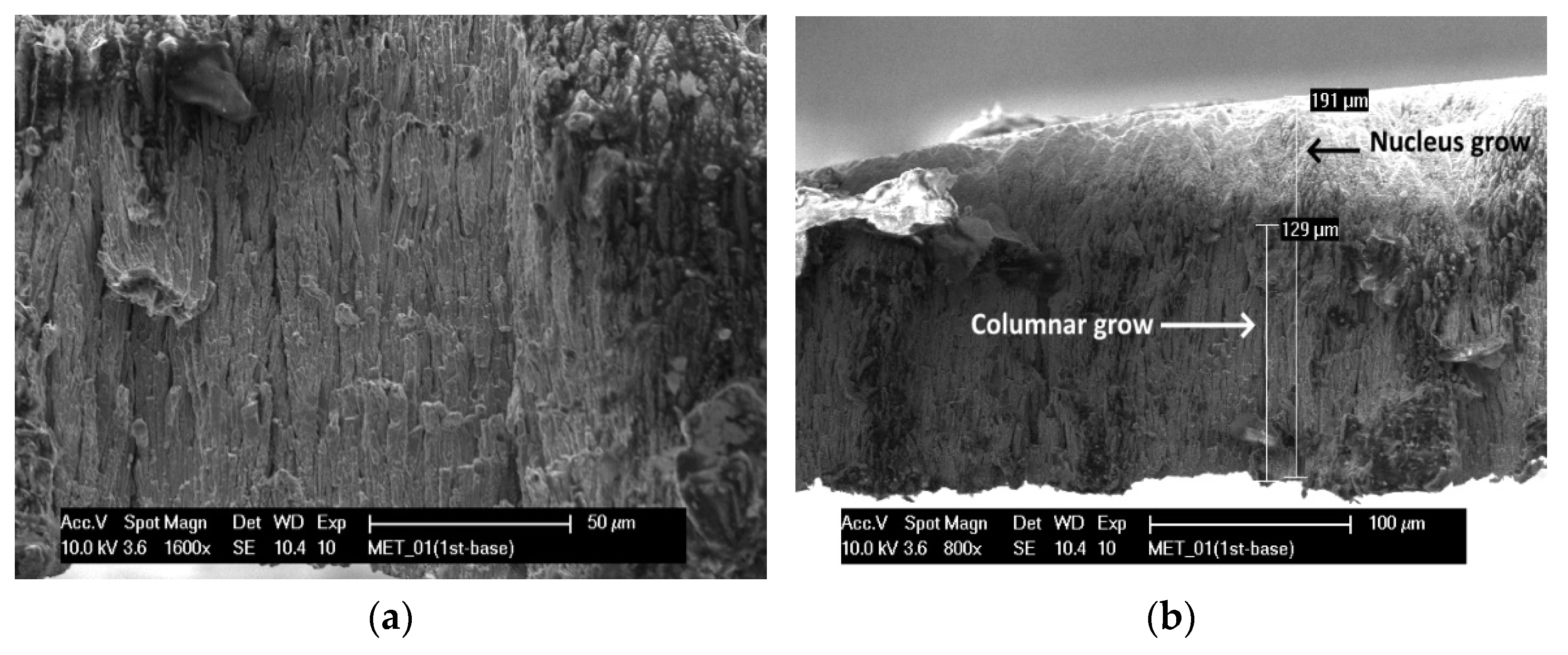 Applsci 11 09219 g003 550