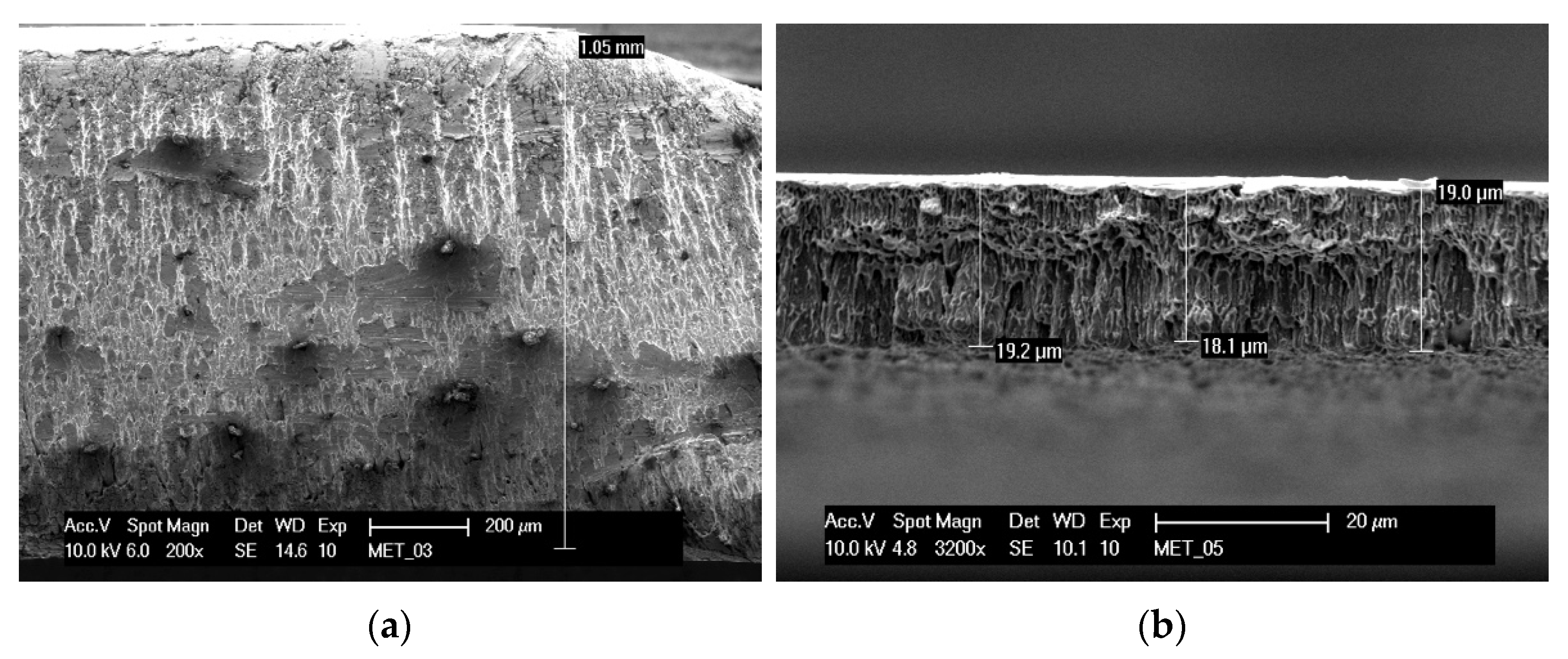 Applsci 11 09219 g004 550