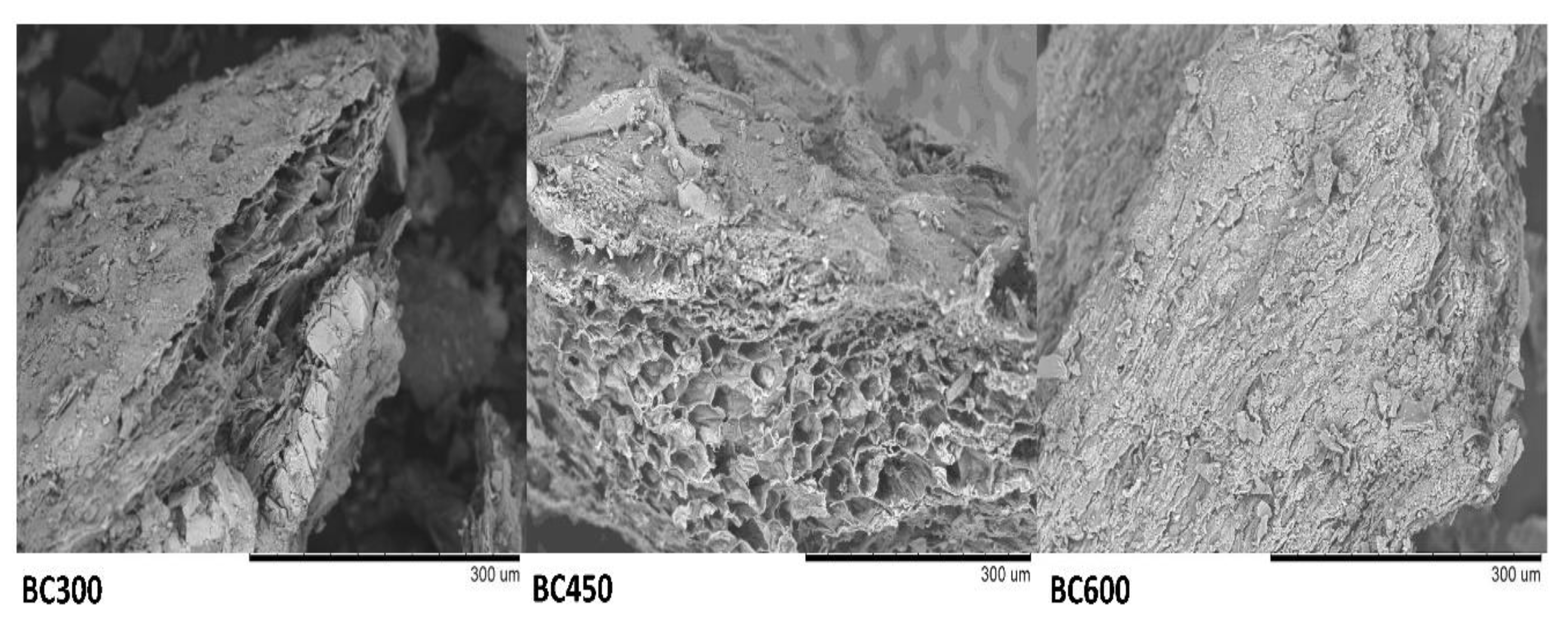 Applsci 11 09223 g001 550