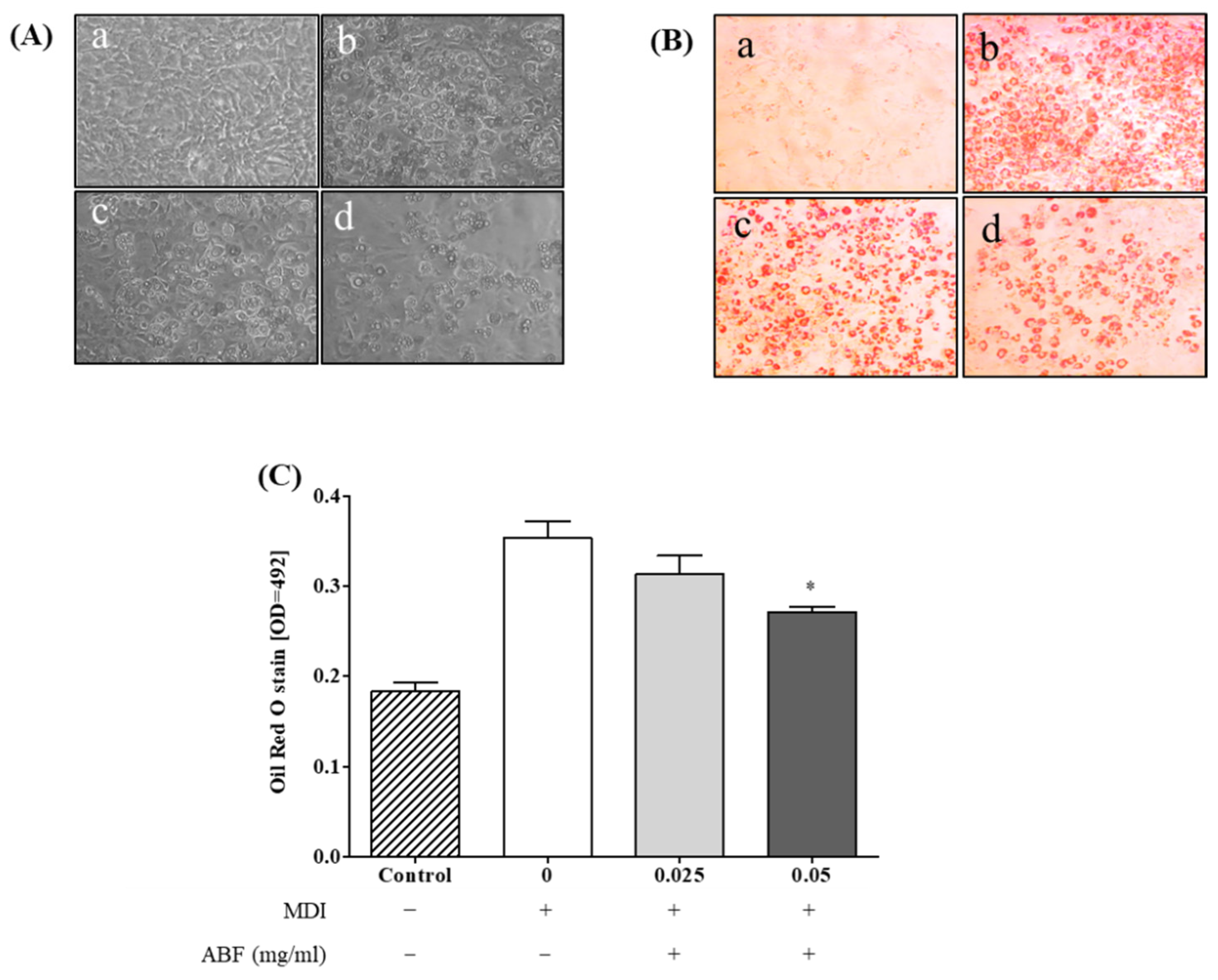 Applsci 11 09224 g005 550