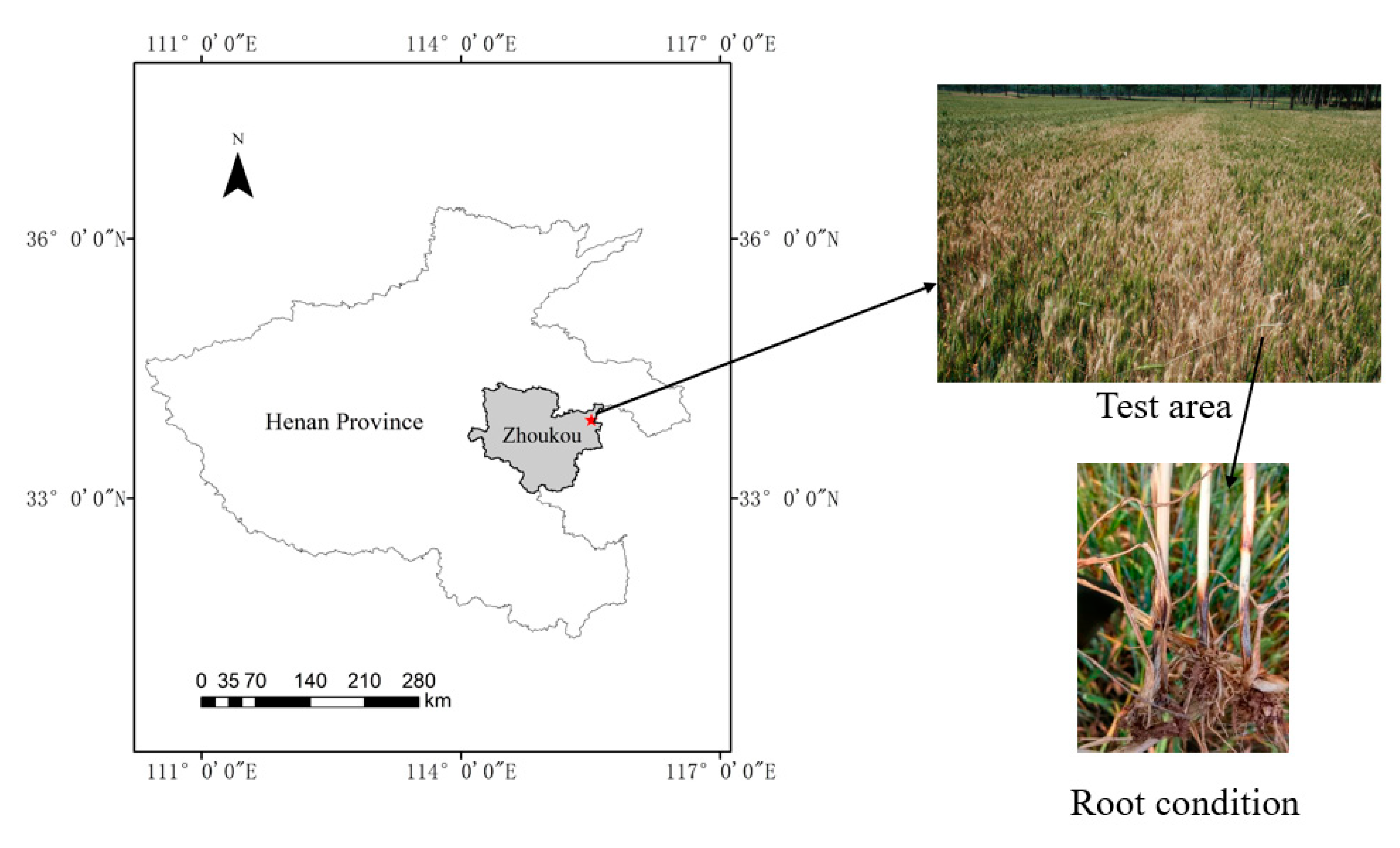 Applsci 11 09230 g001