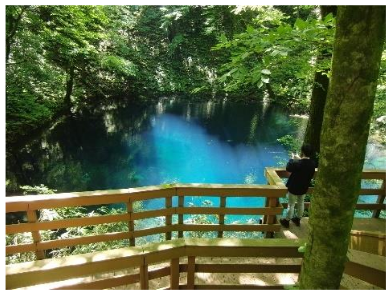 Applsci 11 09231 g001 550