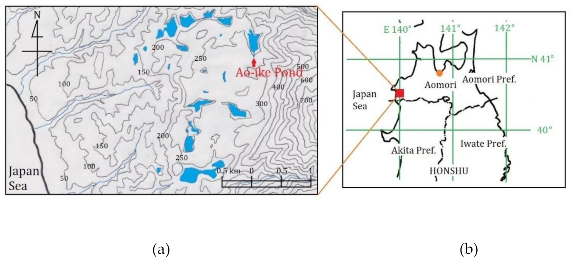 Applsci 11 09231 g002 550