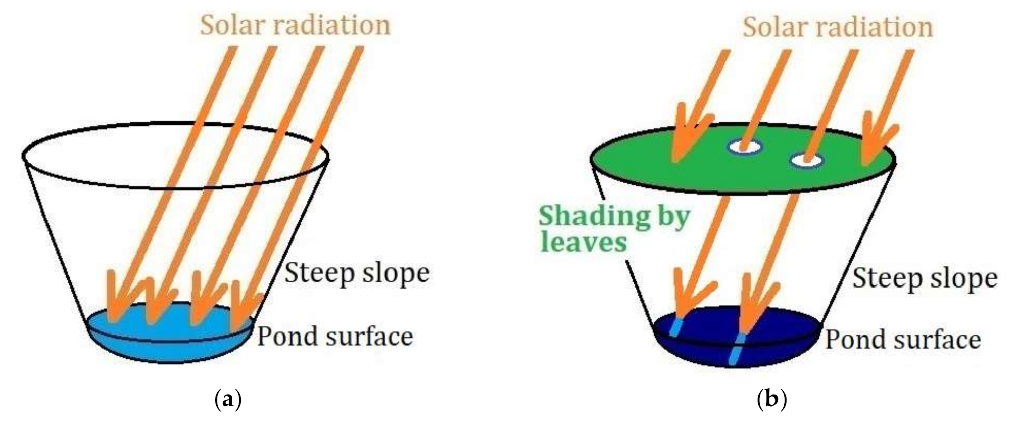 Applsci 11 09231 g003 550