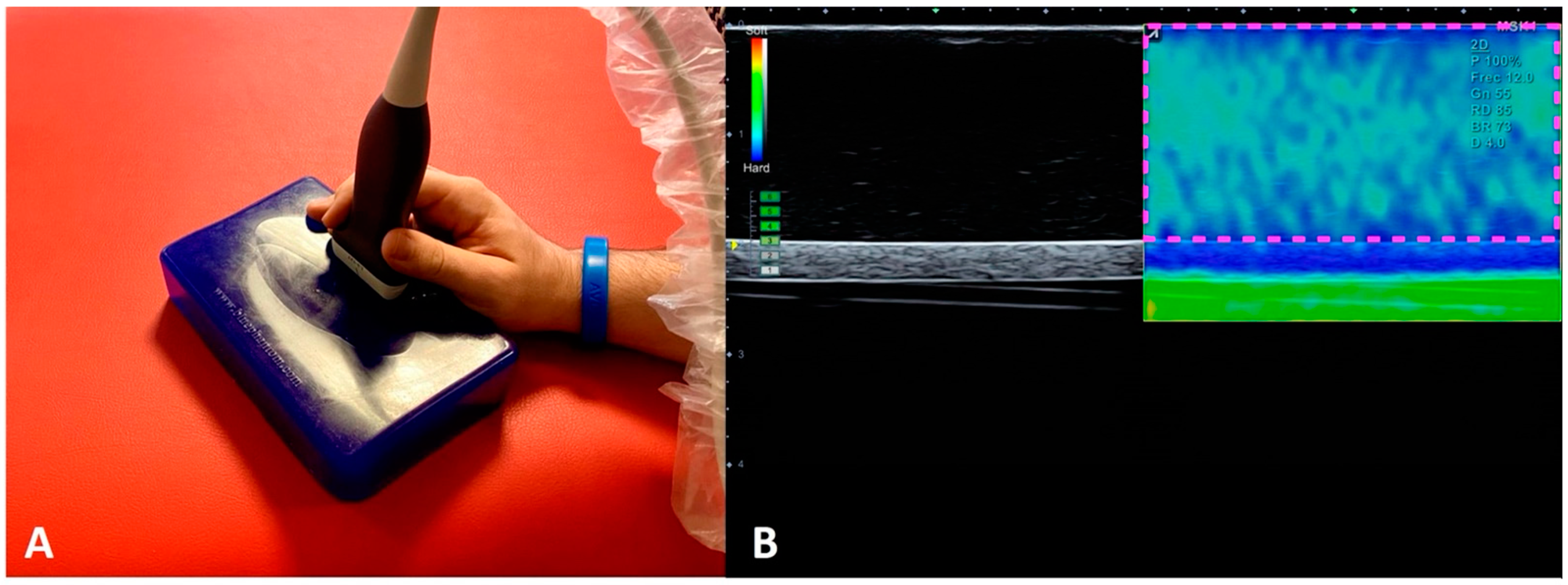 Applsci 11 09247 g001 Applsci 11 09247 g001
