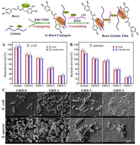 ユエ Mechanisms and therapeutic target of anti-tumour treatment