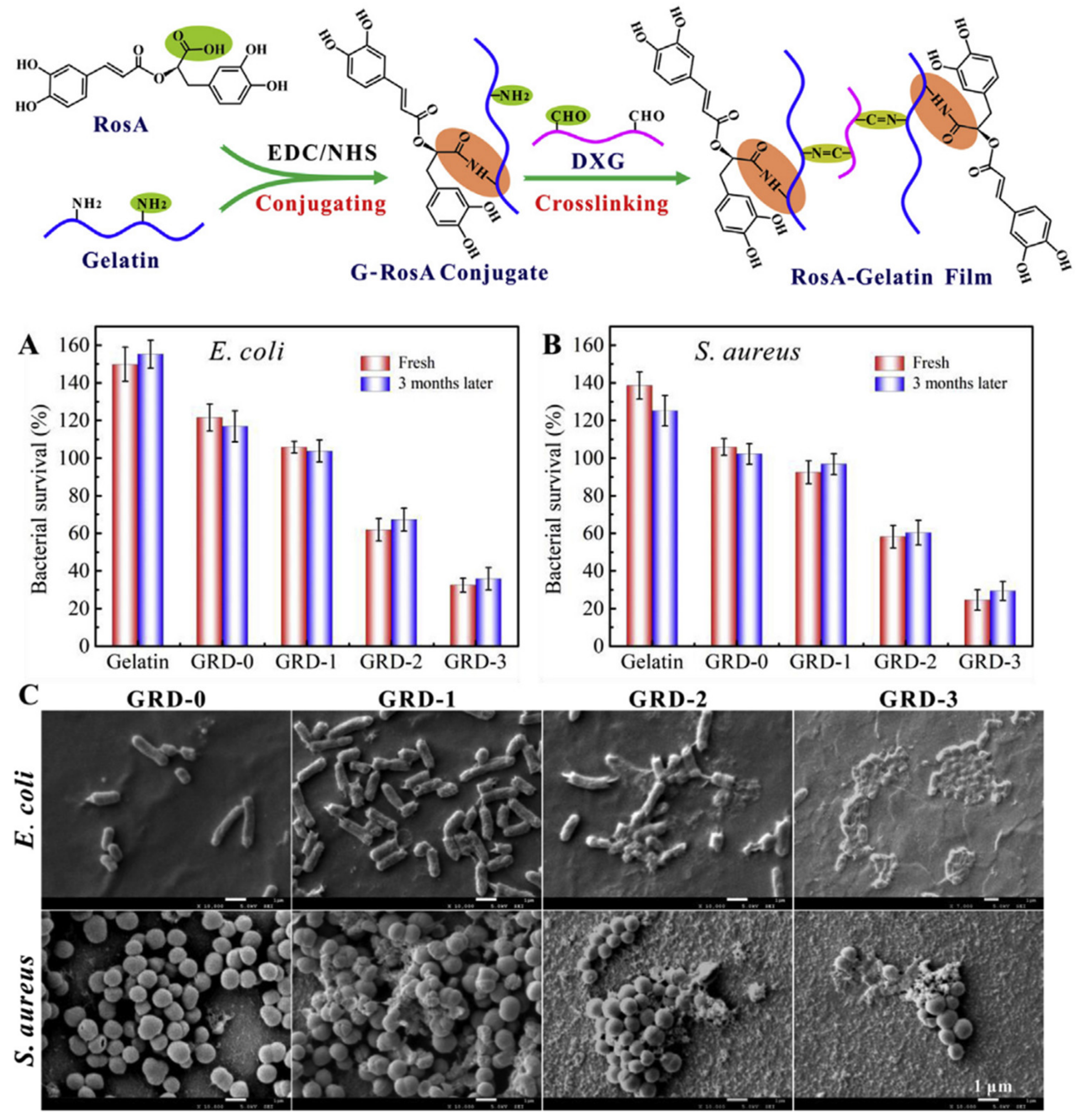 Applsci 11 09249 g007 Applsci 11 09249 g007