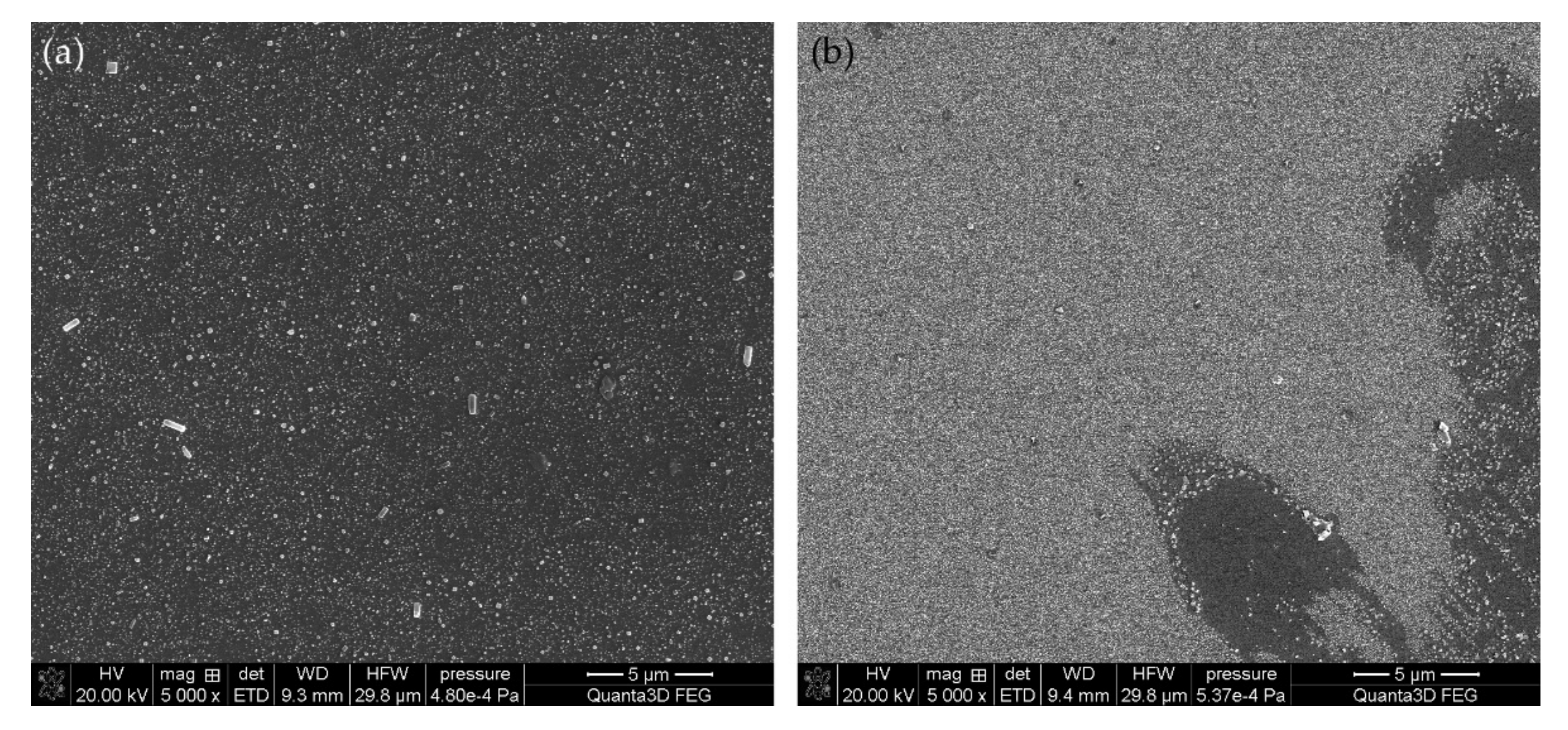 Applsci 11 09256 g010