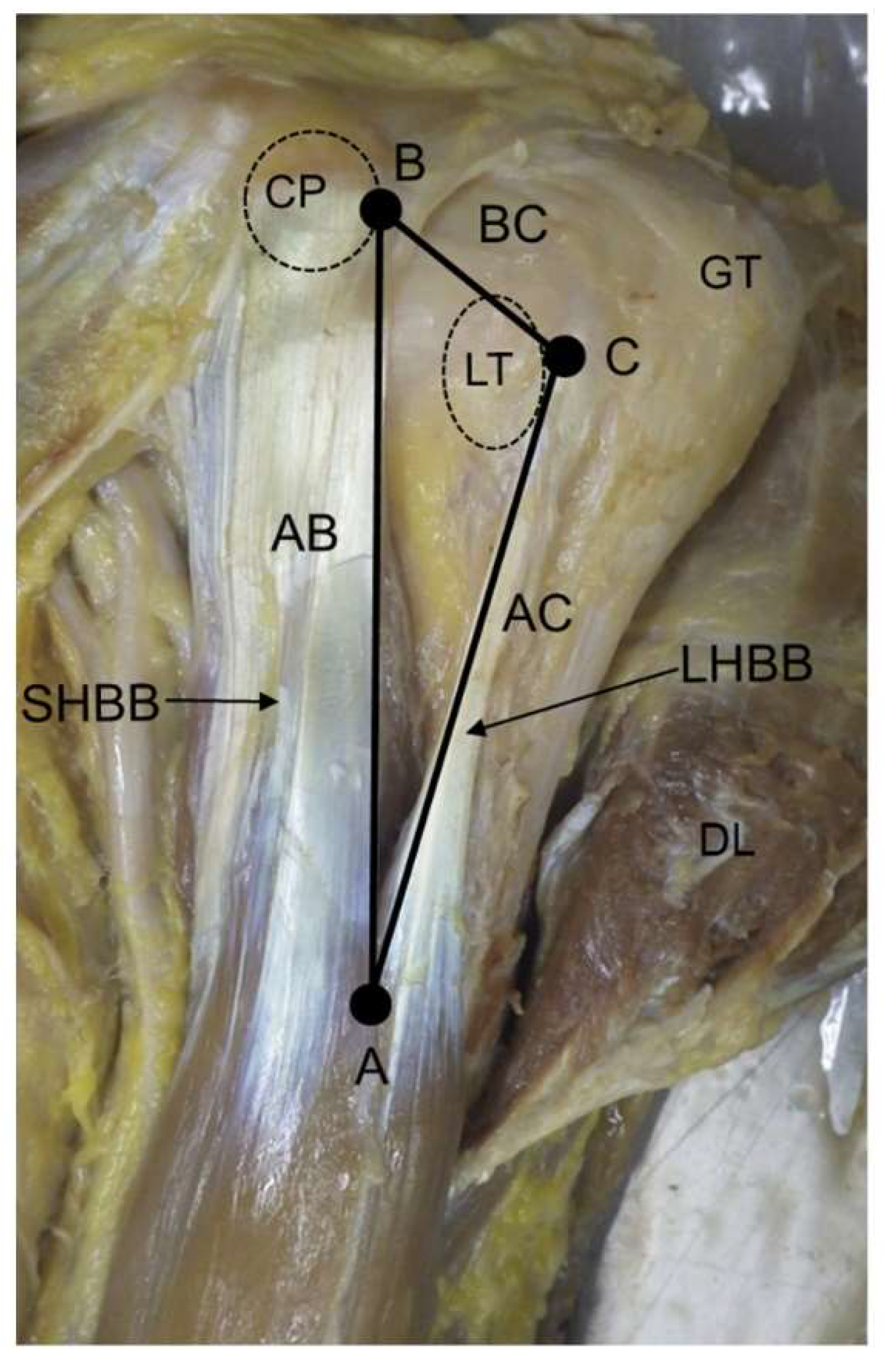 Applsci 11 09262 g001