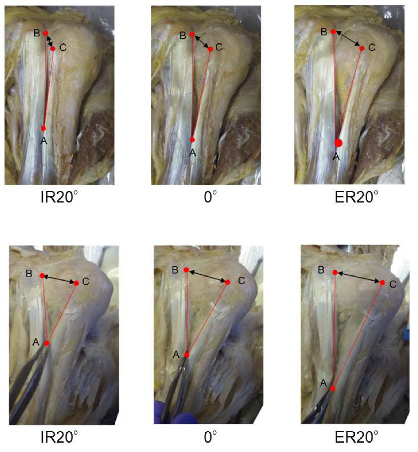 Applsci 11 09262 g003