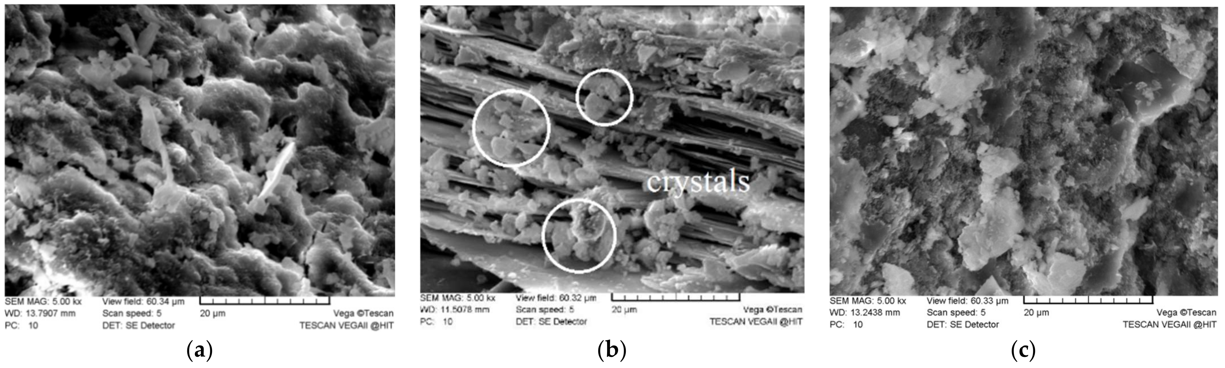 Applsci 11 09265 g005 550